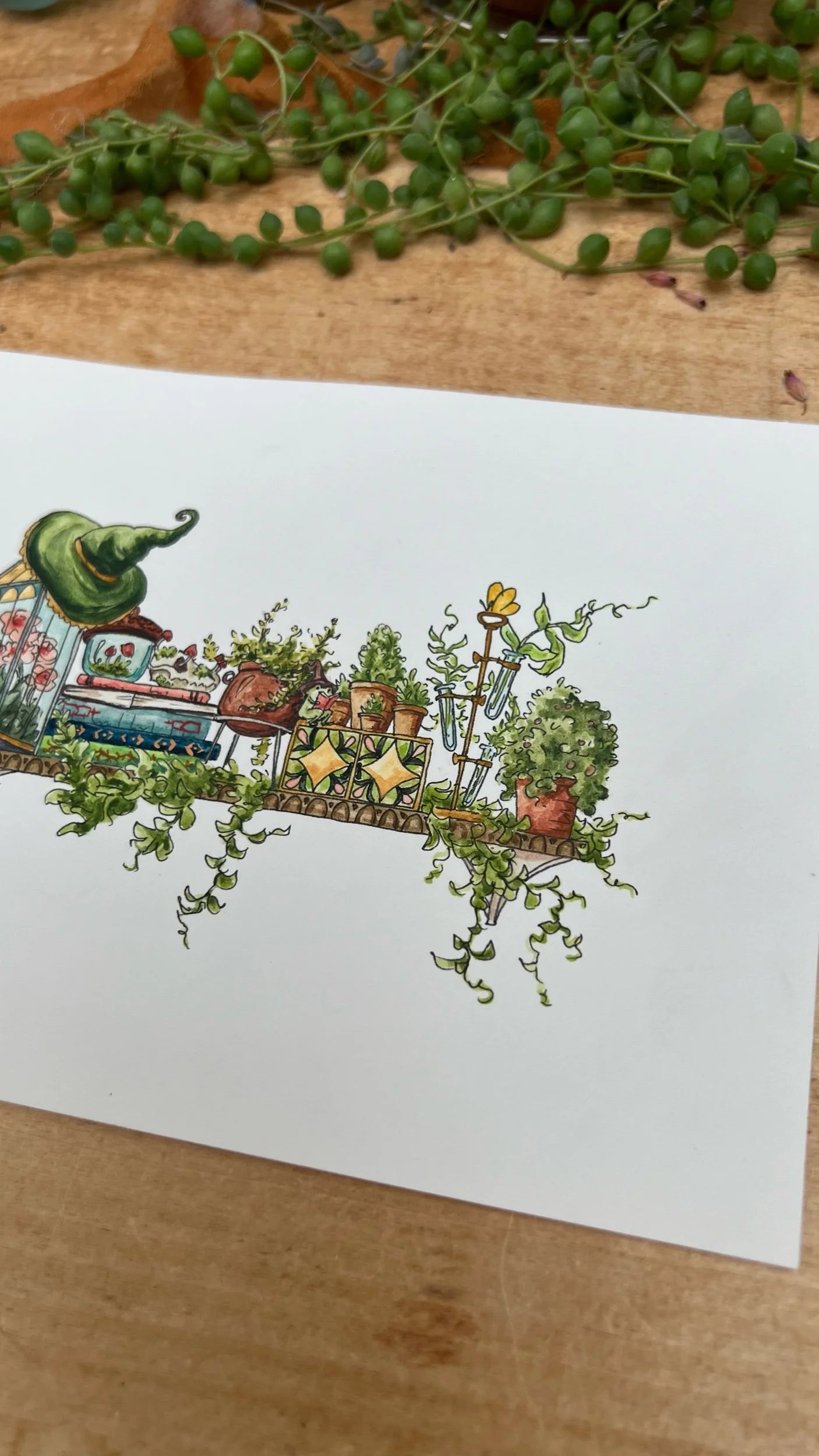 Original Mini Garden Witch's Shelf Illustration