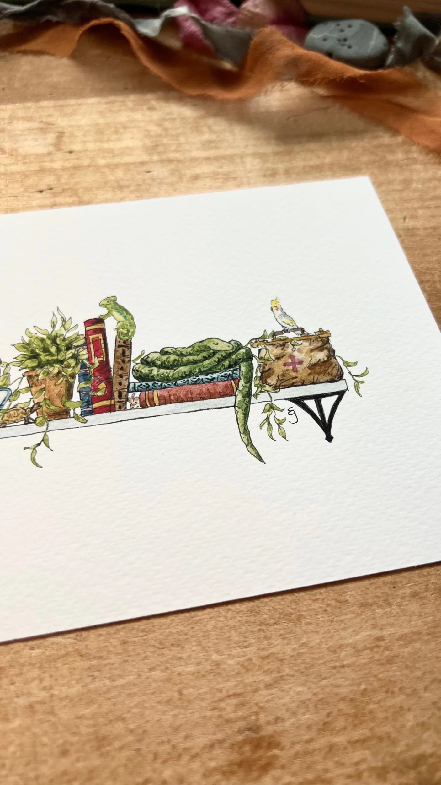 The Mini Veterinarian's Shelf Giclée Print