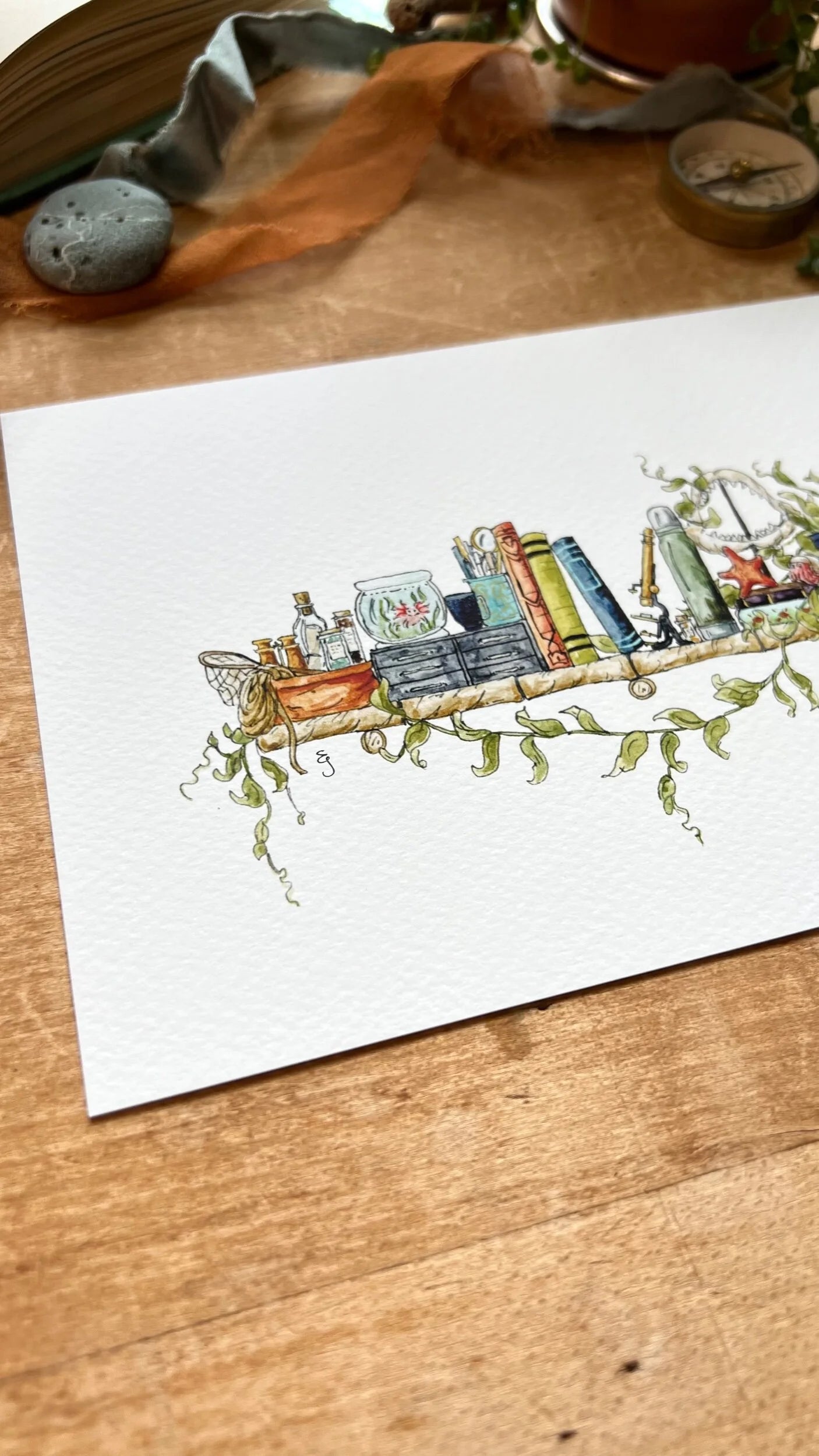The Mini Marine Biologist's Shelf Giclée Print