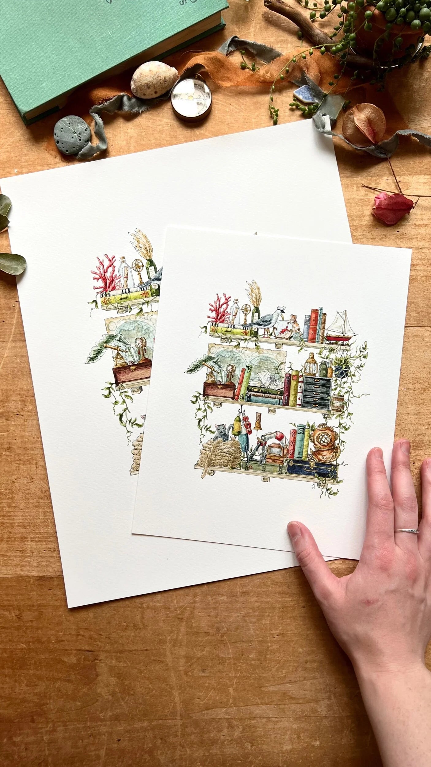 The Sailor's Shelves Giclée Print