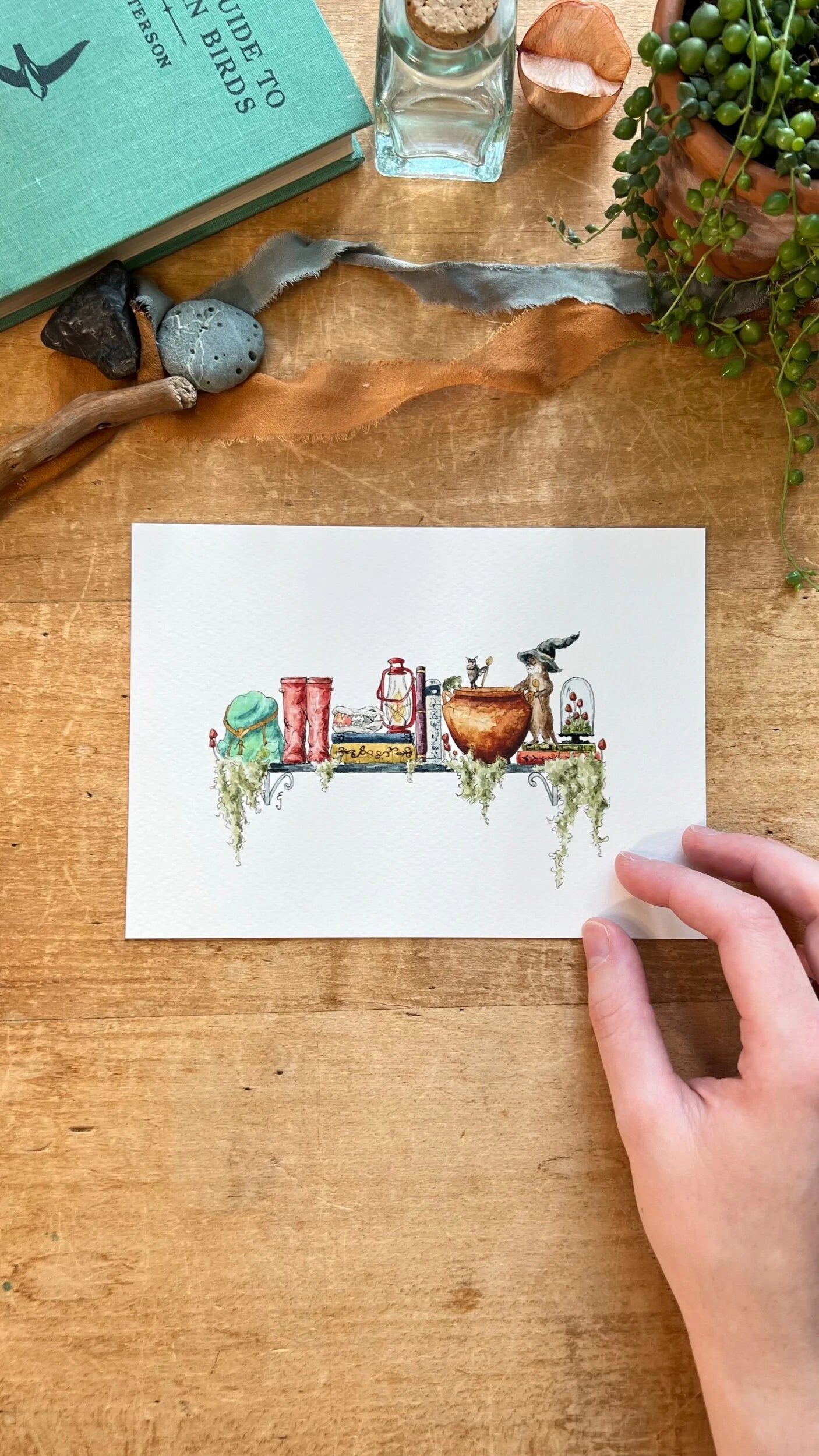 Mini Witches Shelves Giclée Print Bundle, Vol. 1
