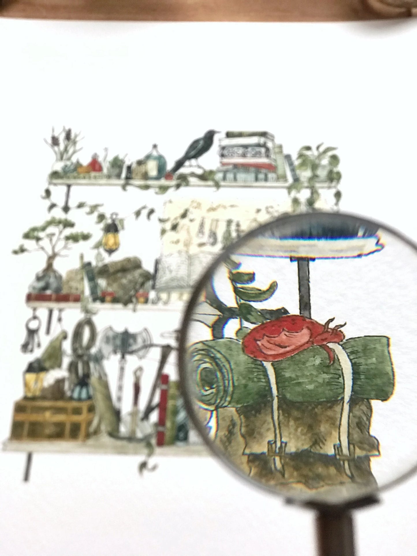 The Adventurer's Shelves Giclée Print