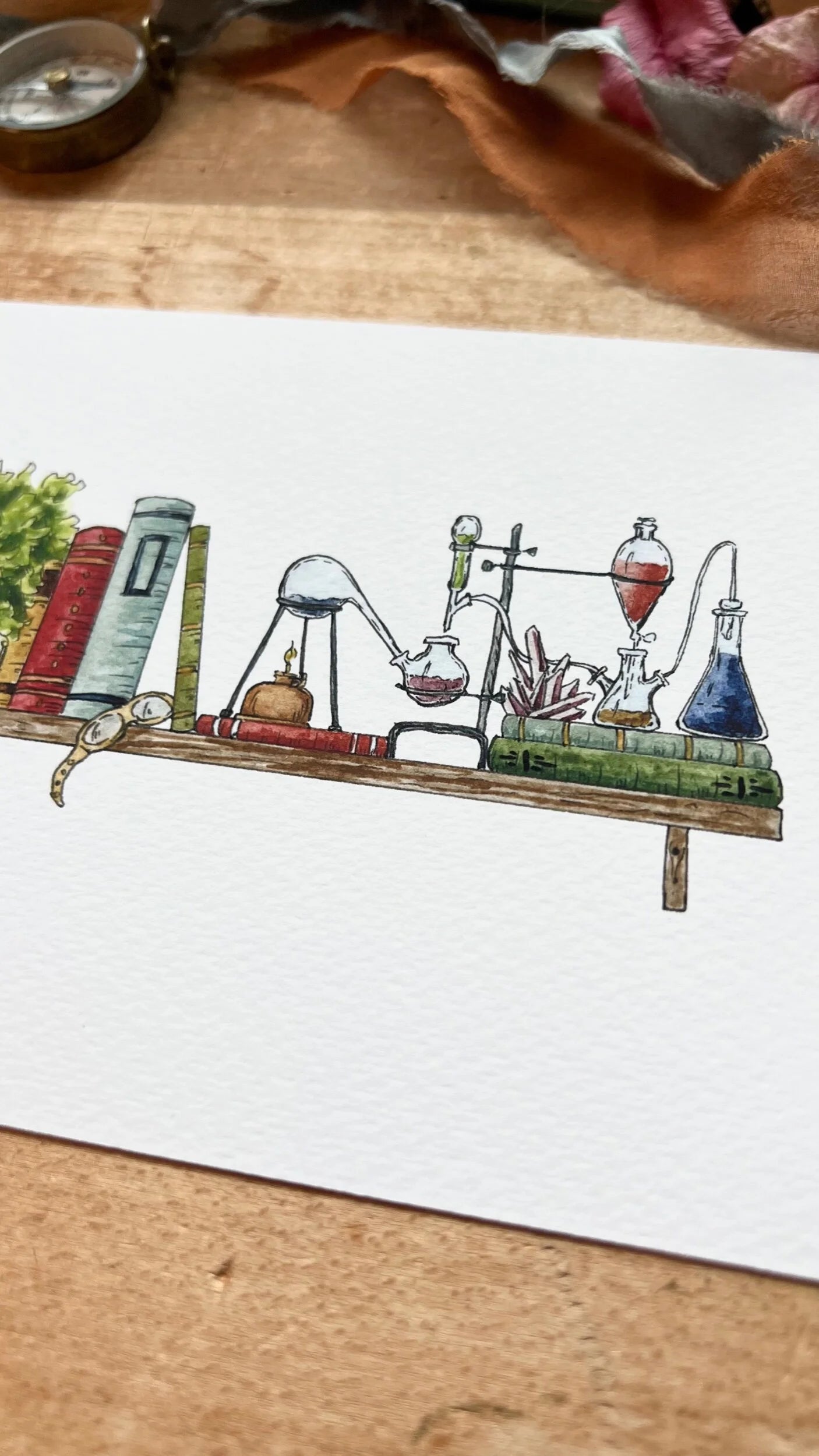 The Mini Chemist's Shelf Giclée Print