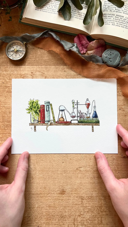 The Mini Chemist's Shelf Giclée Print
