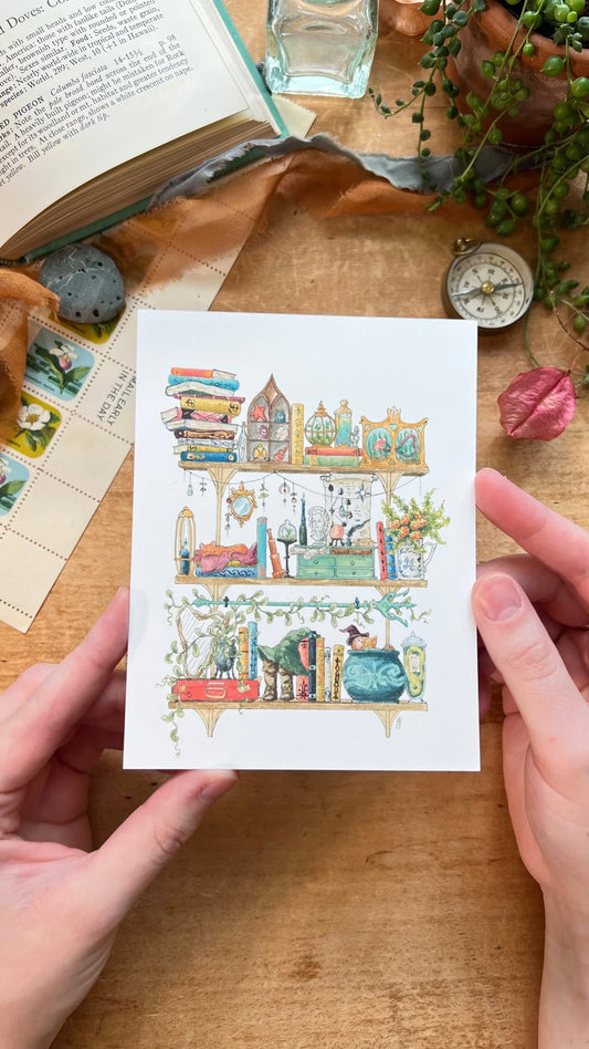 The Sea Witch's Shelves Postcard