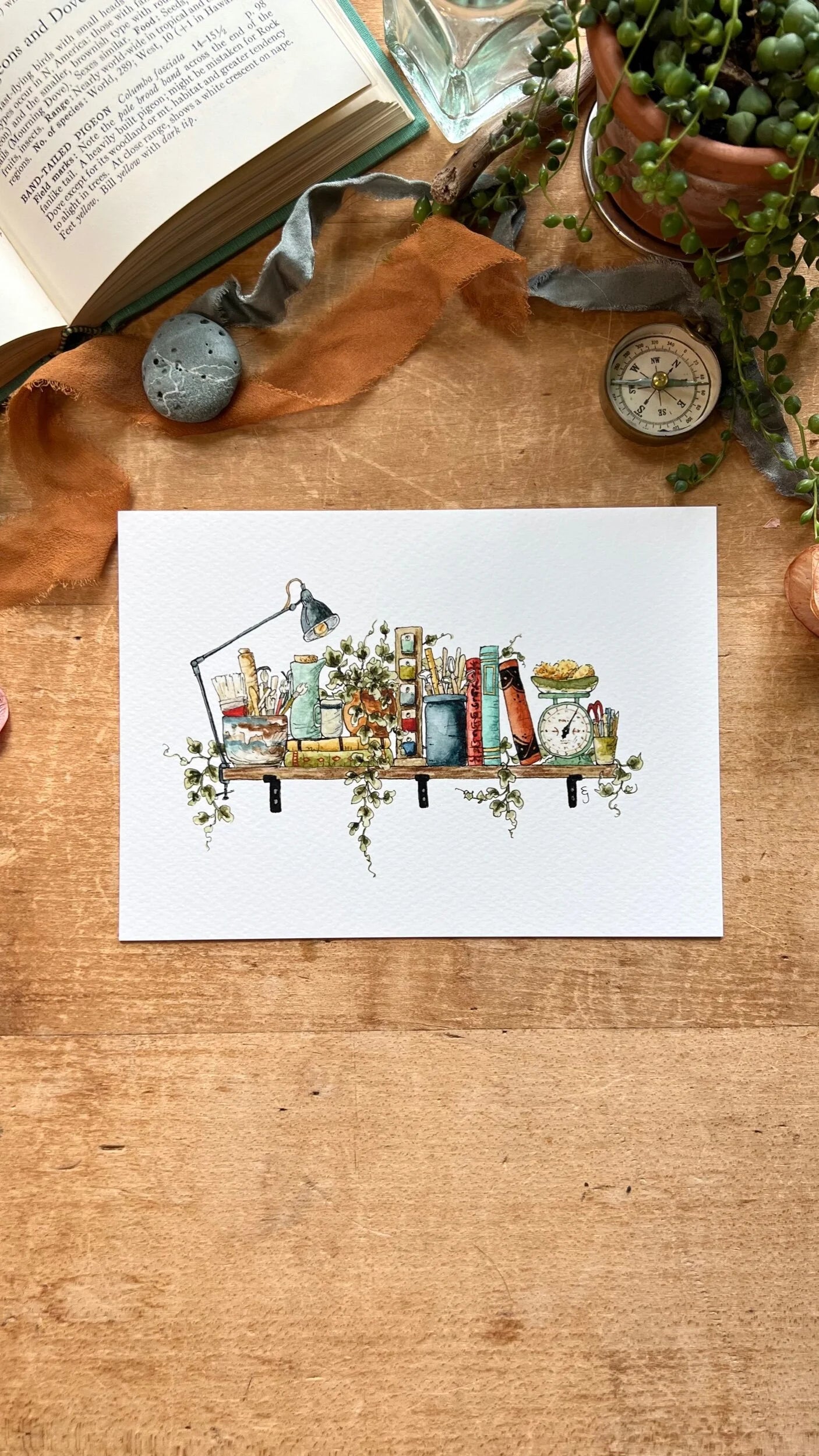 The Mini Potter's Shelf Giclée Print