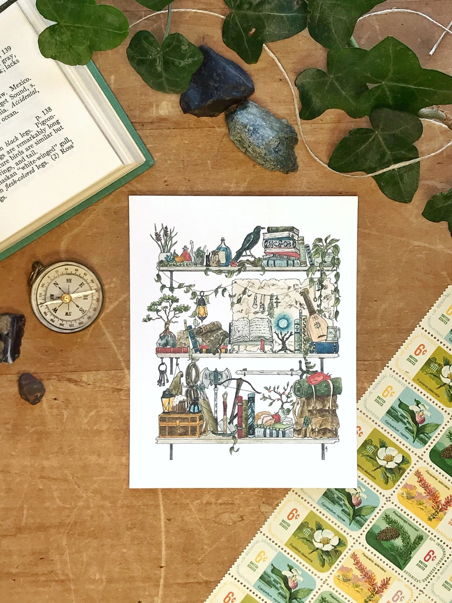 Vol. 2 Natural History Postcard Set