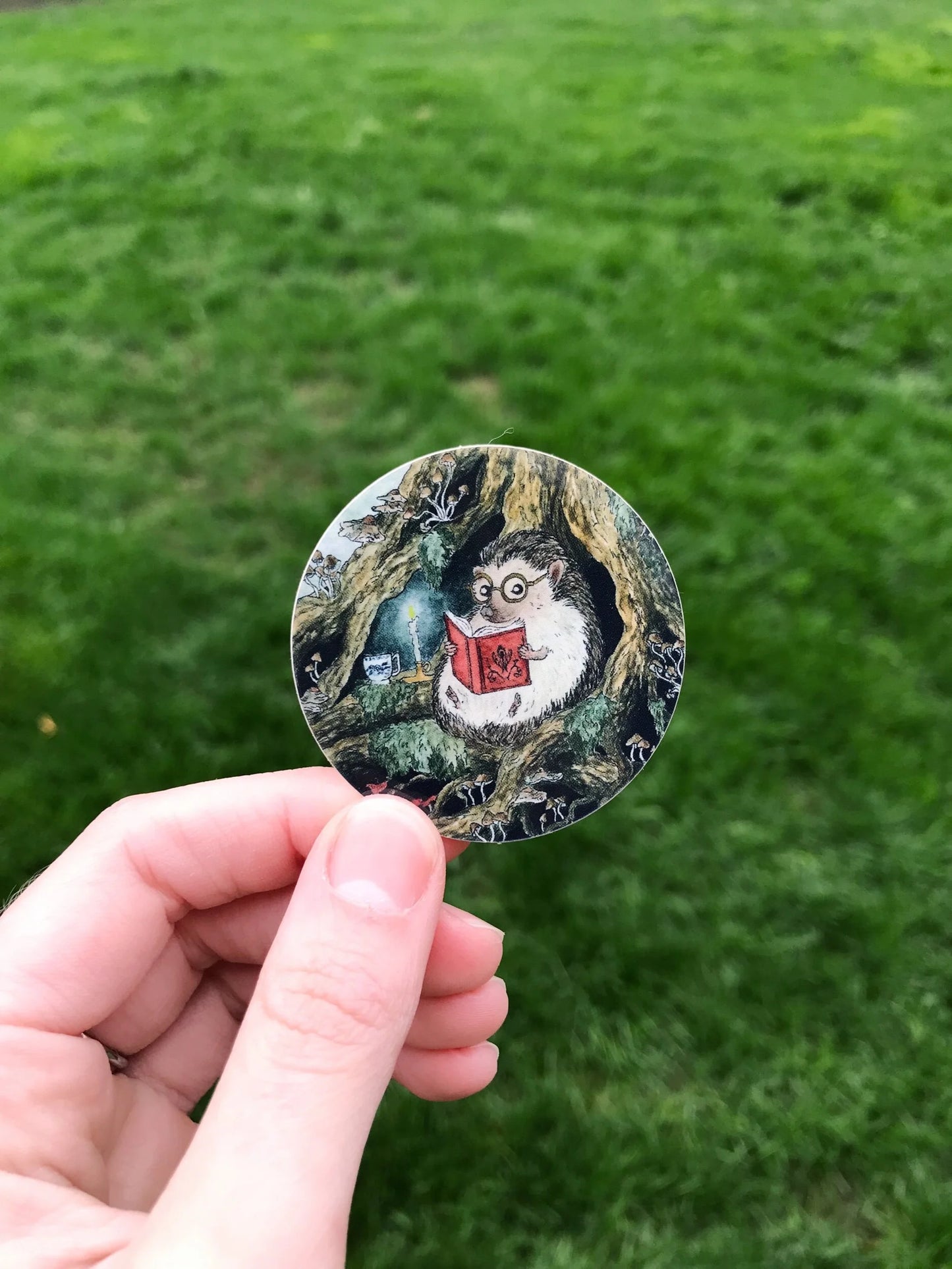 Reading Hedgehog Sticker