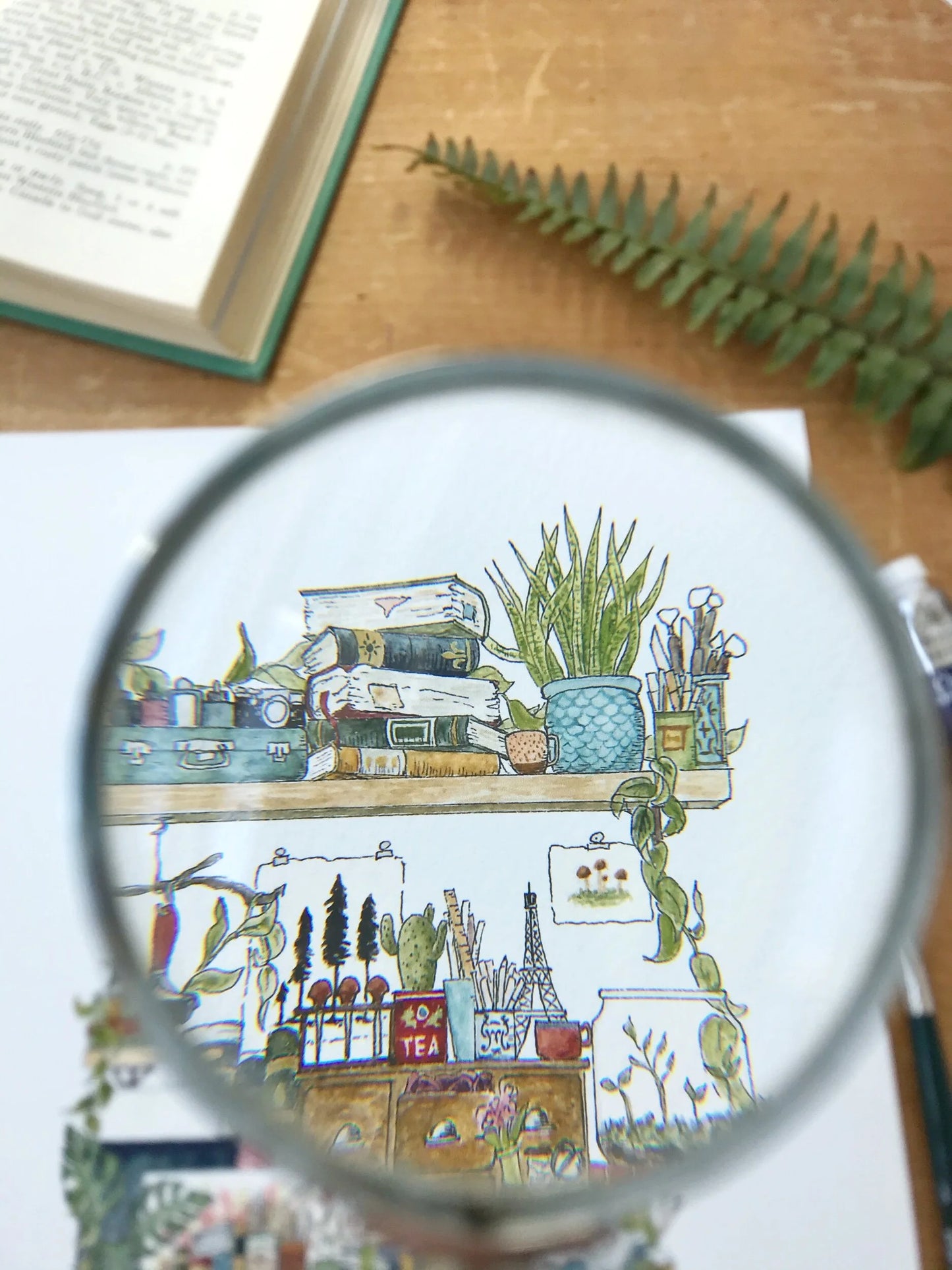 The Artist's Shelves Giclée Print