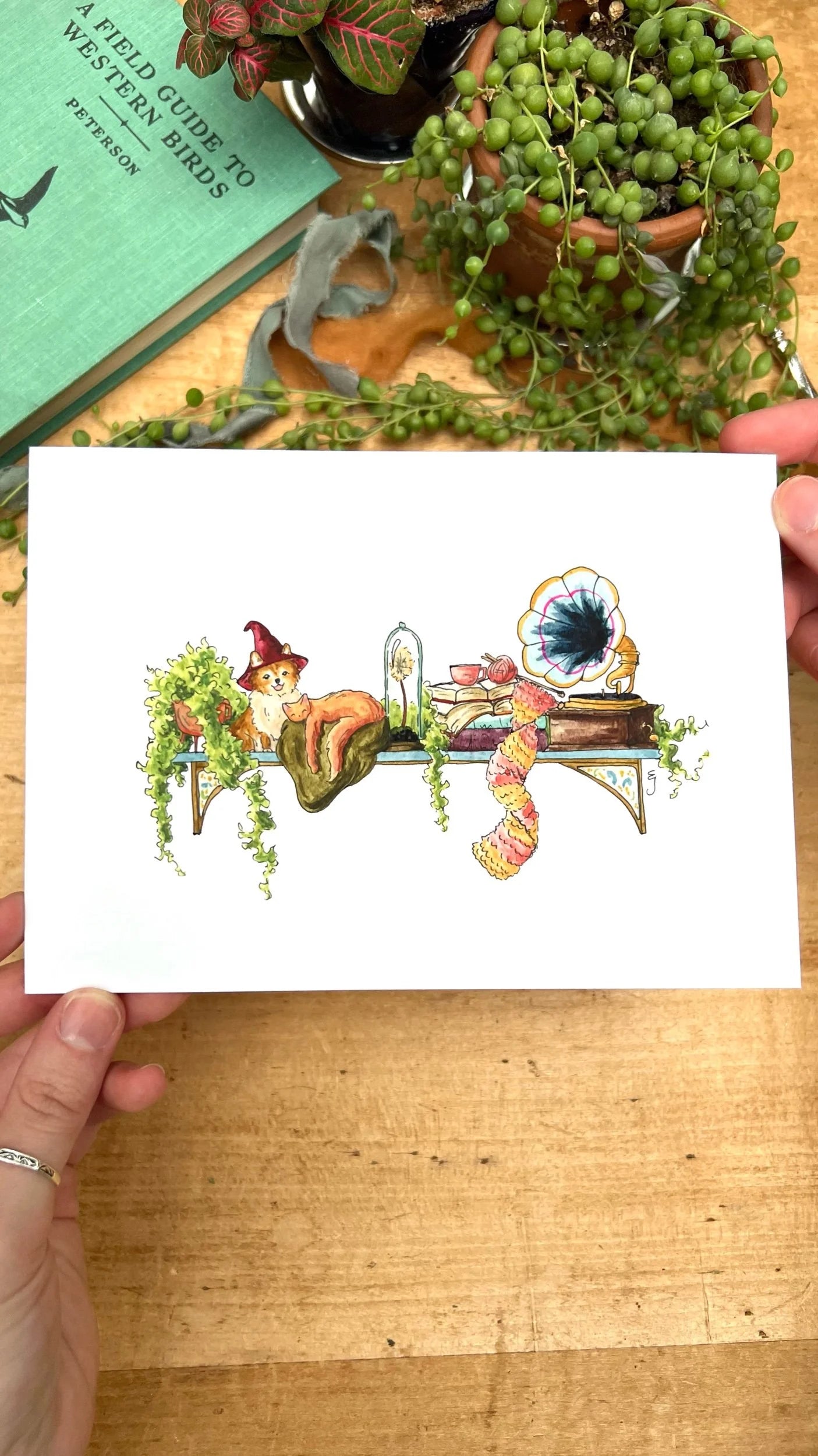 Mini Witches Shelves Giclée Print Bundle, Vol. 2