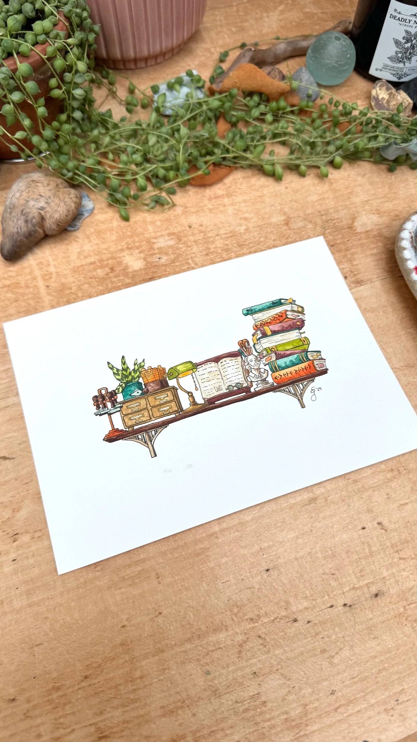 Original Mini Librarian's Shelf Illustration