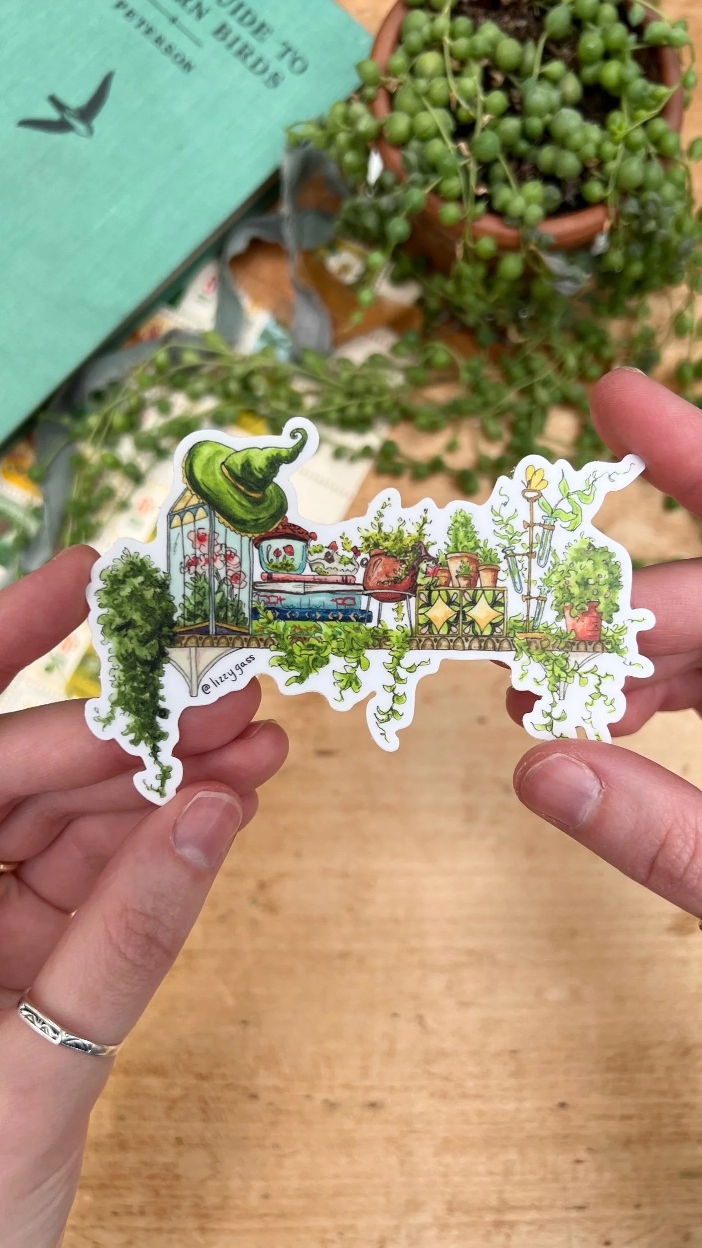 The Mini Garden Witch's Shelf Sticker
