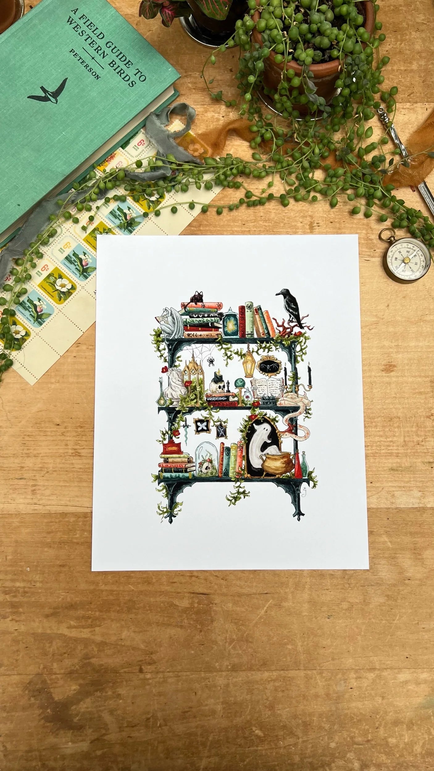 The Gothic Witch's Shelves Giclée Print