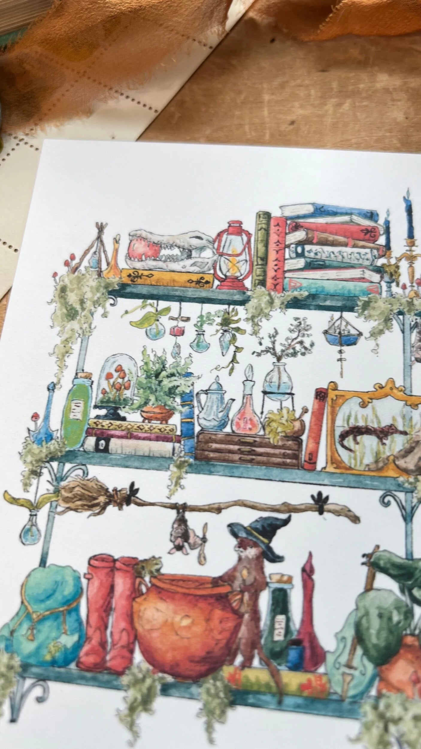 The Swamp Witch's Shelves Postcard