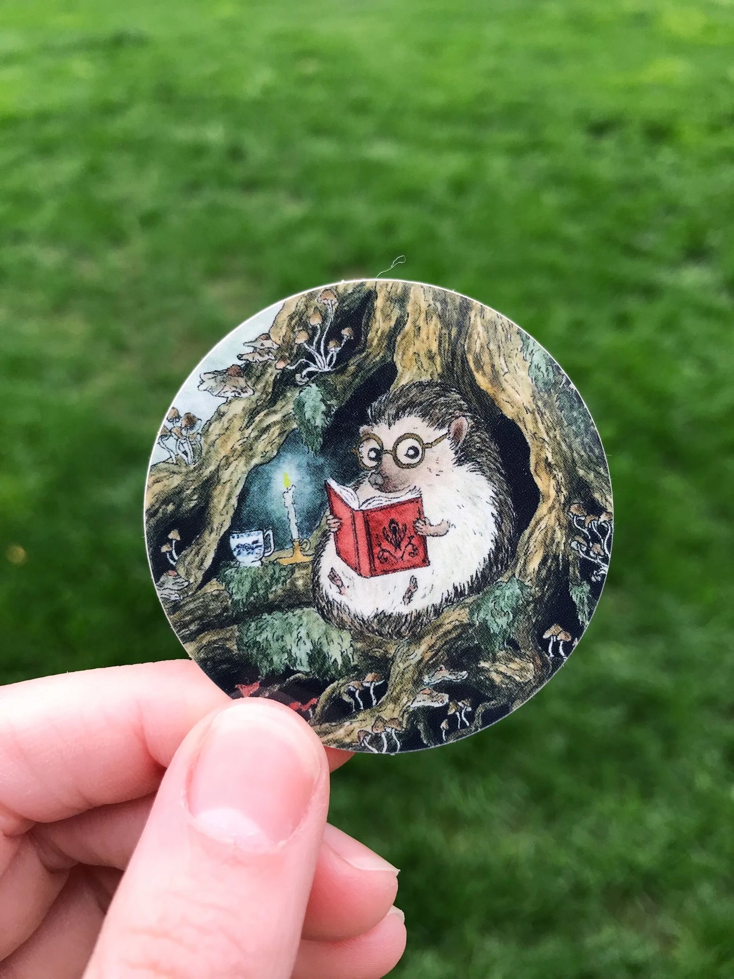 Reading Hedgehog Sticker