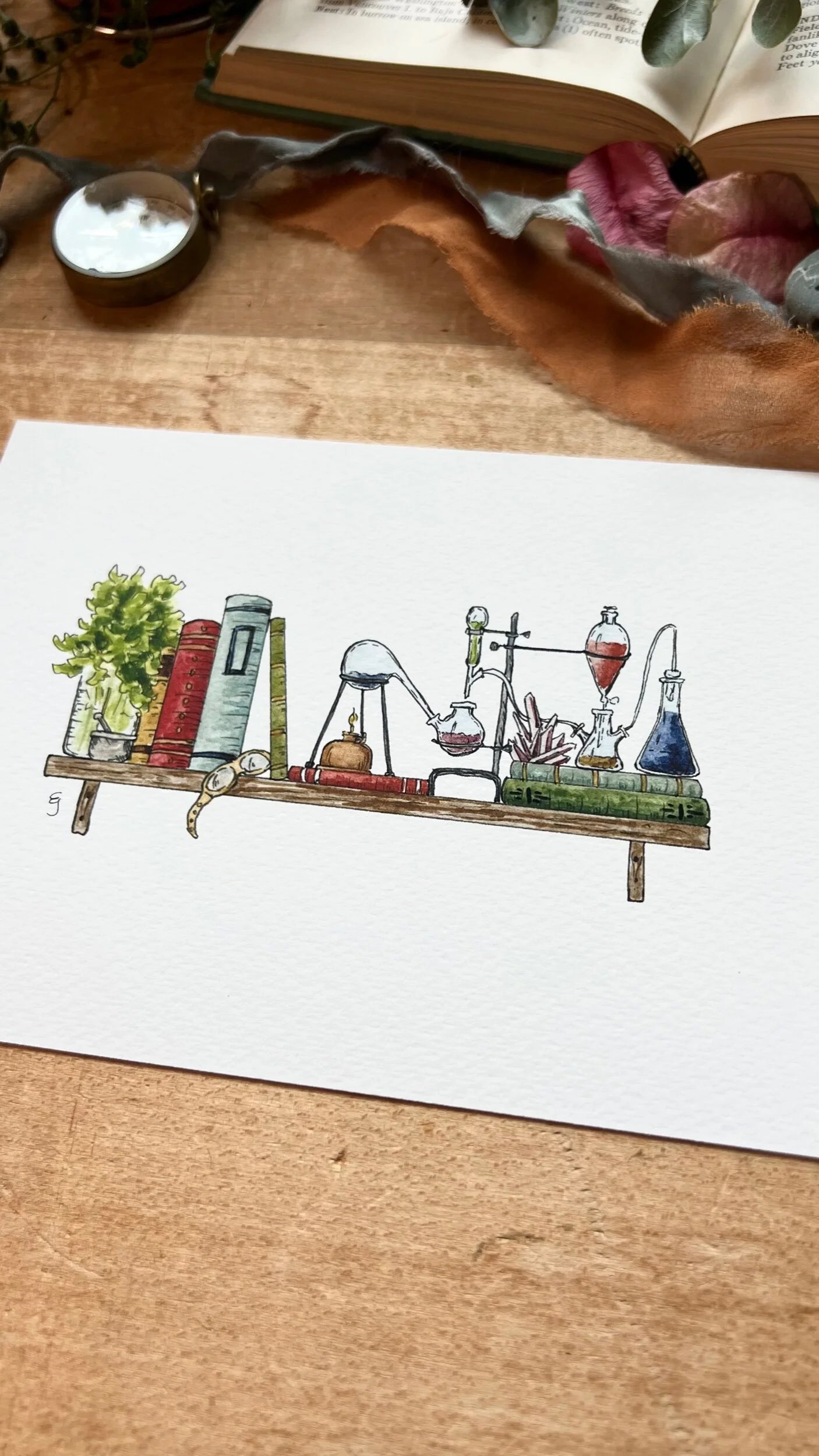 The Mini Chemist's Shelf Giclée Print