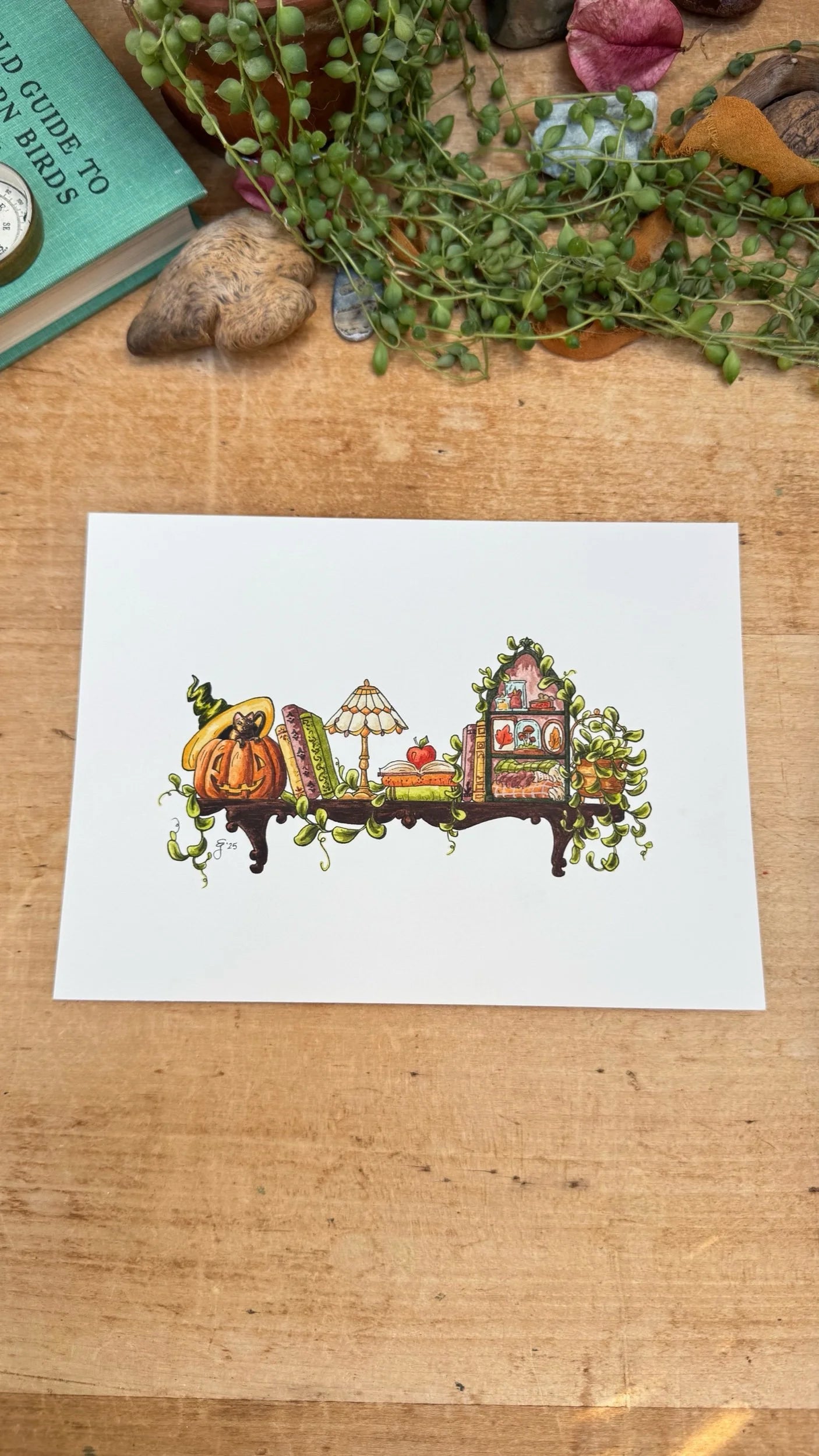Original Mini Autumn Witch's Shelf Illustration