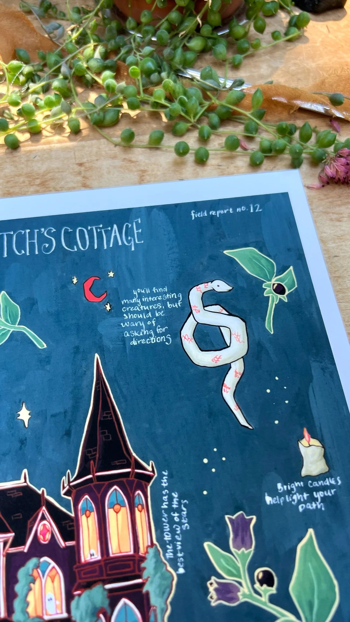 The Gothic Witch's Cottage Field Report Giclée Print