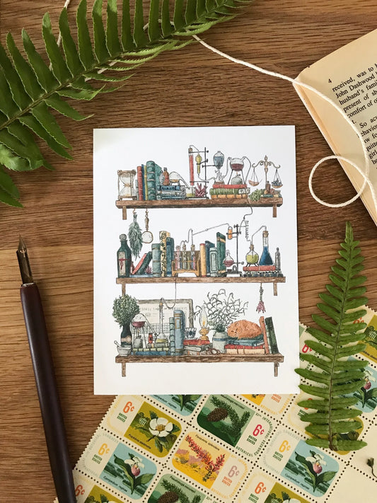 The Chemist's Shelves Postcard