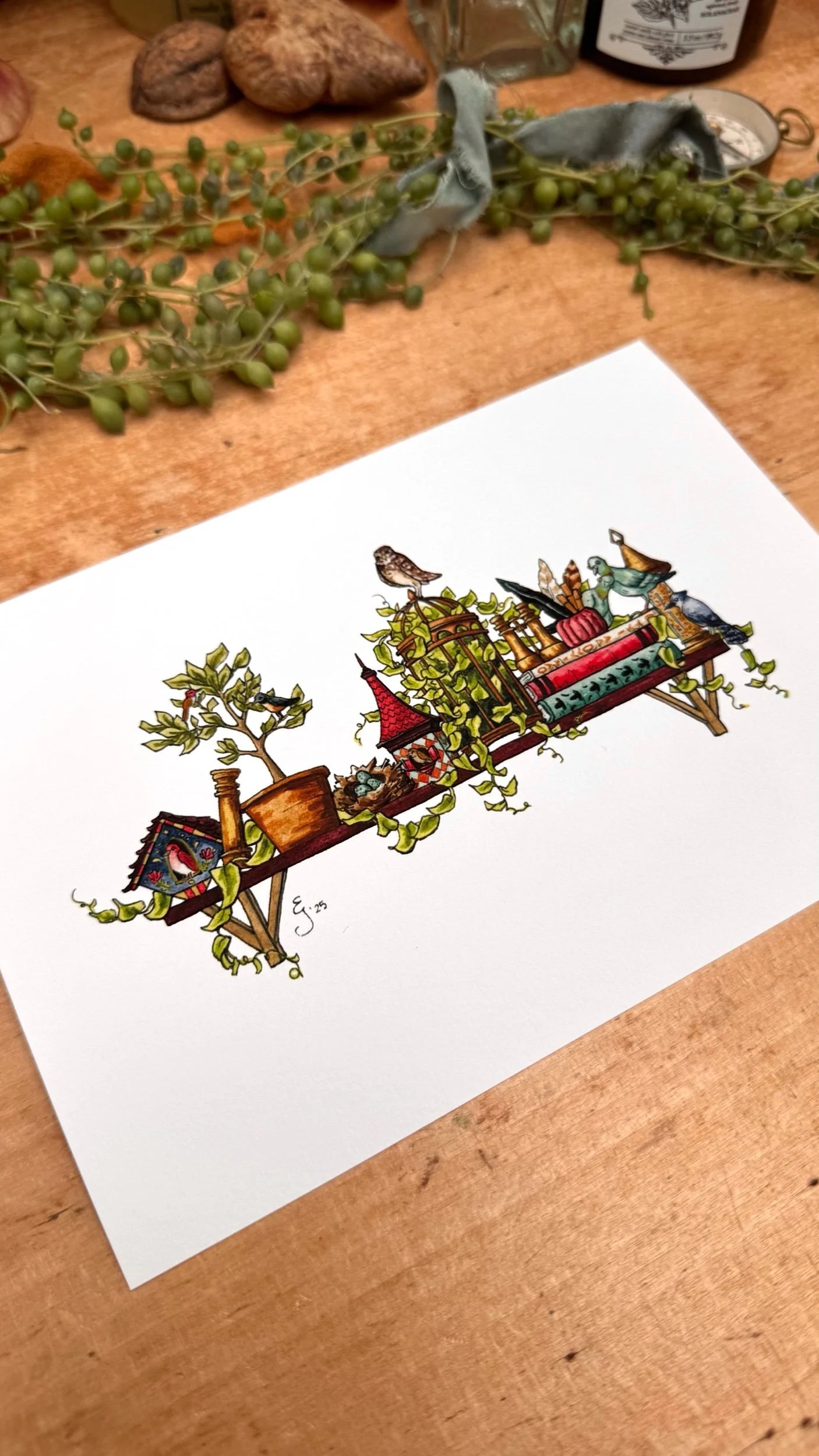The Mini Ornithologist's Shelf Giclée Print