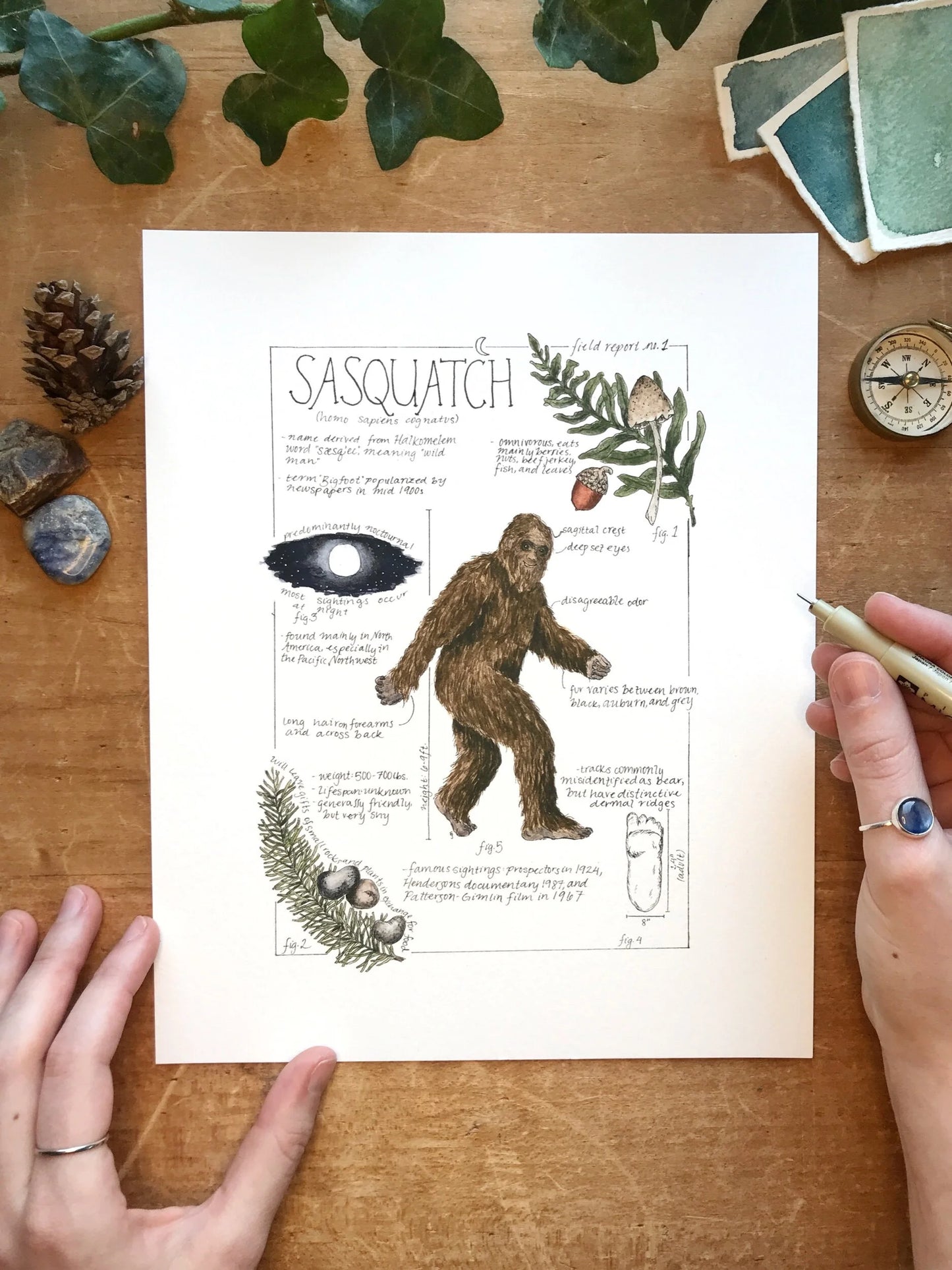 Sasquatch Field Report Giclée Print