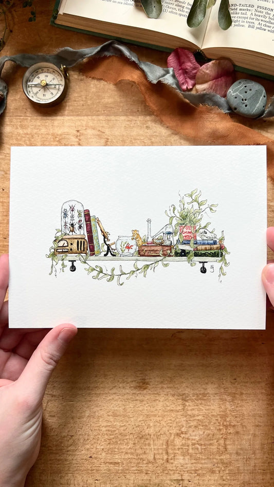 The Mini Biologist's Shelf Giclée Print
