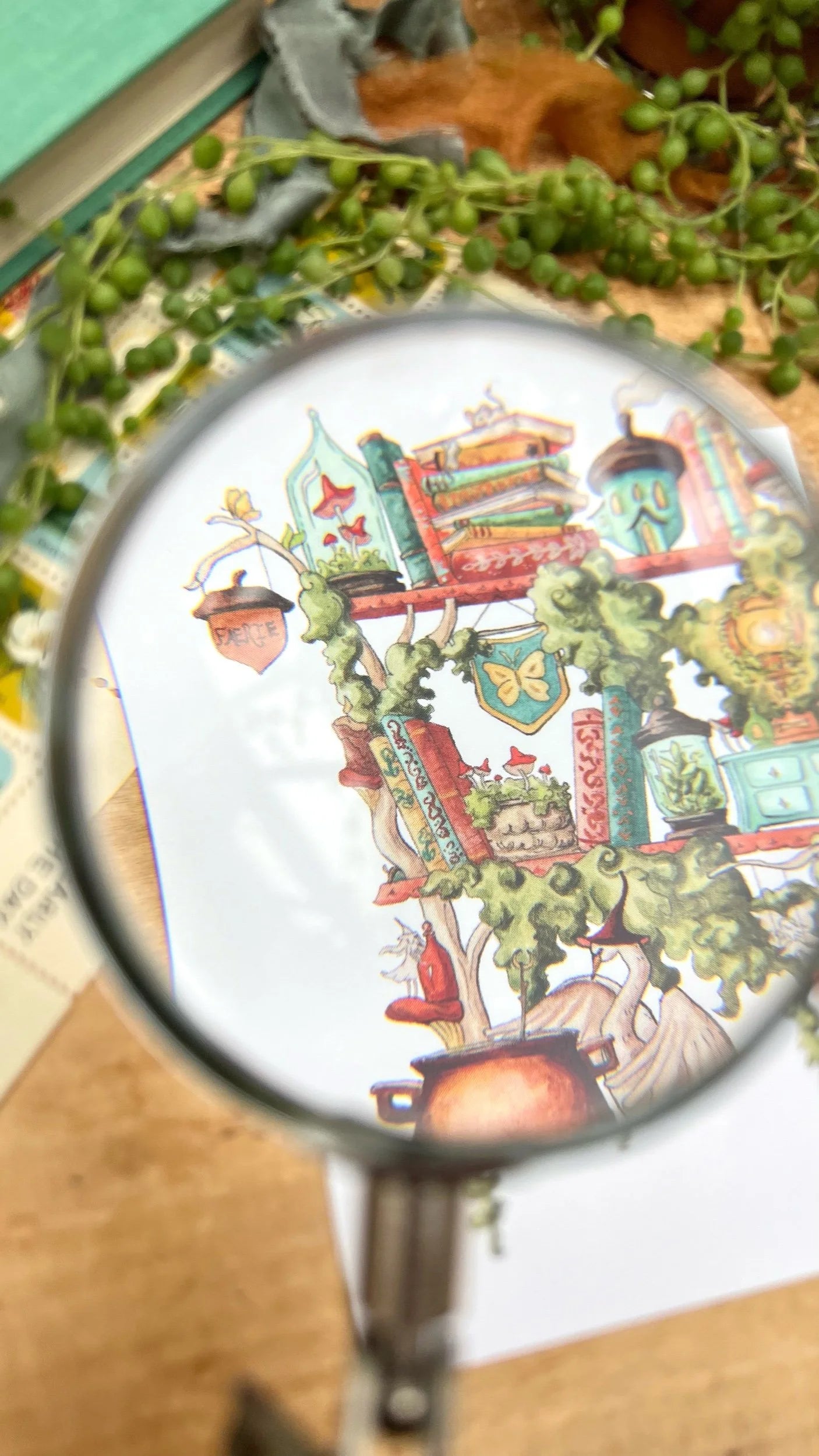 The Fairy Witch's Shelves Postcard