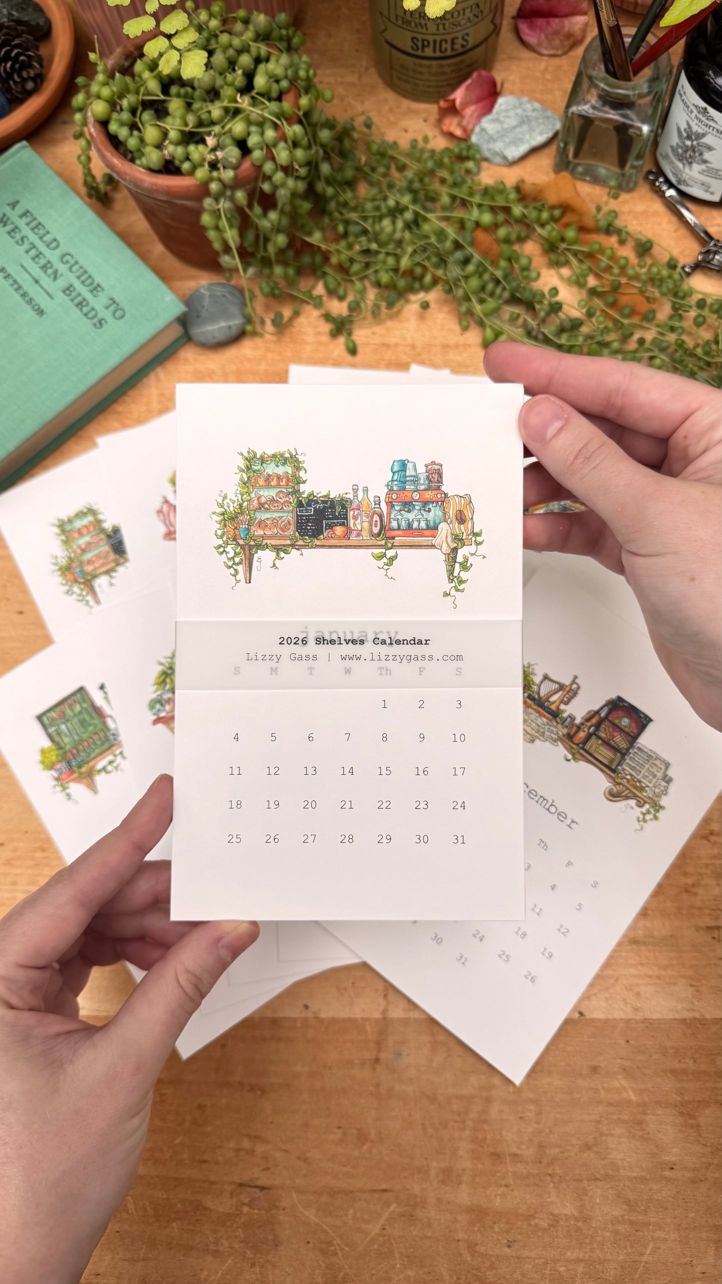 2026 Shelves Calendar