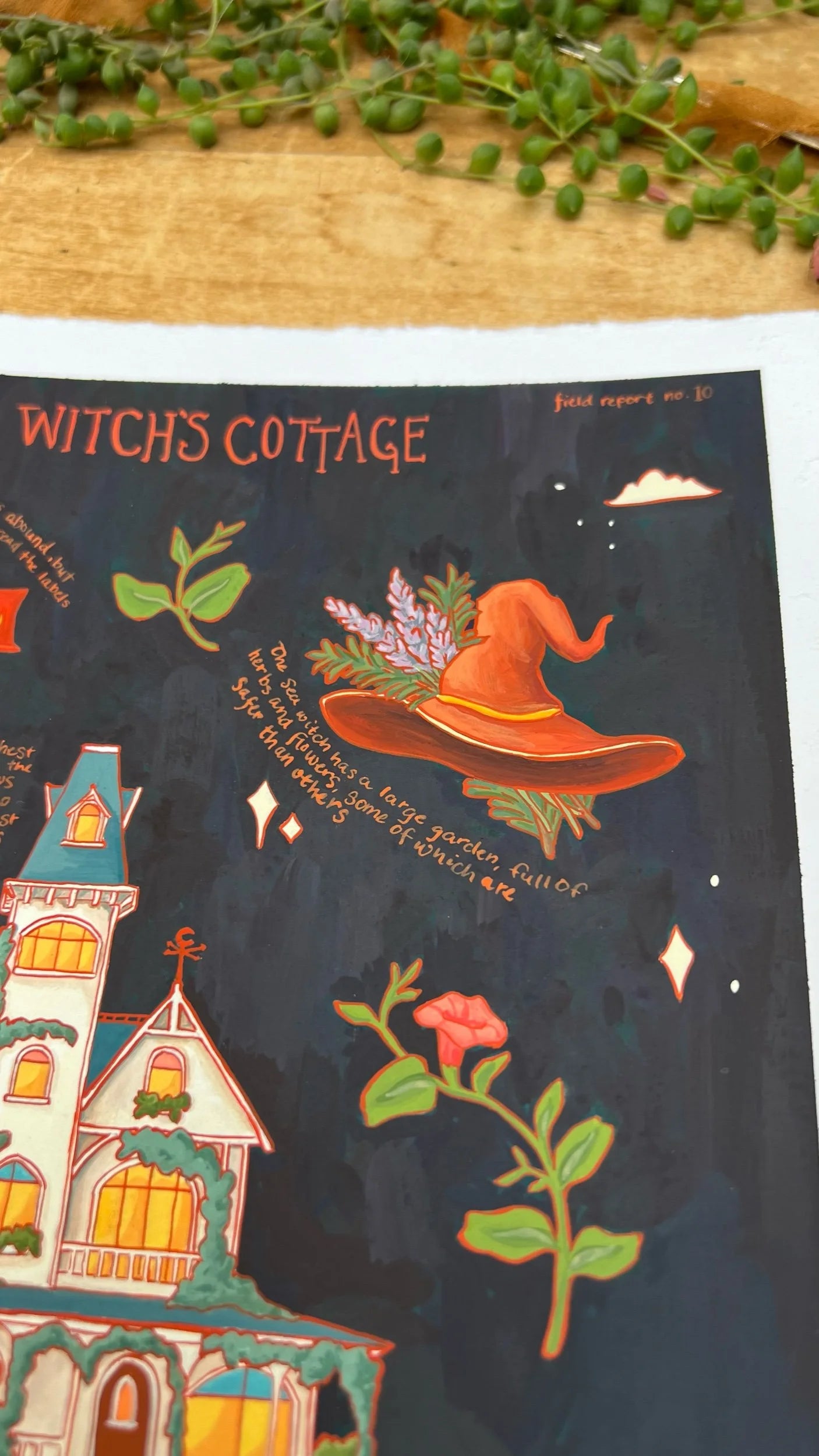 Original Sea Witch's Cottage Field Report