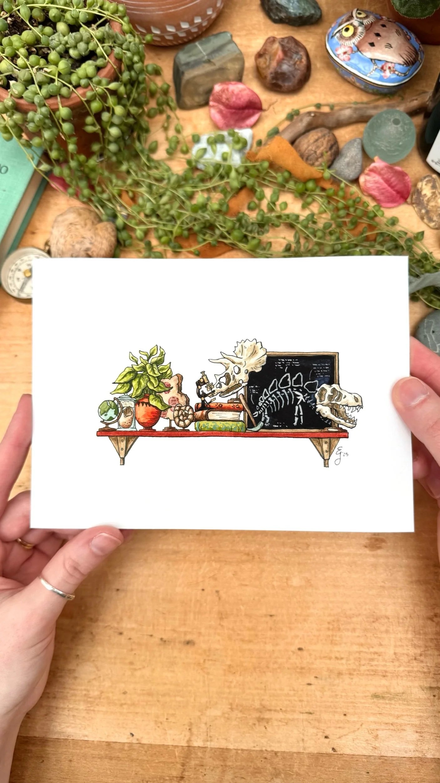 The Mini Paleontologist's Shelf Giclée Print