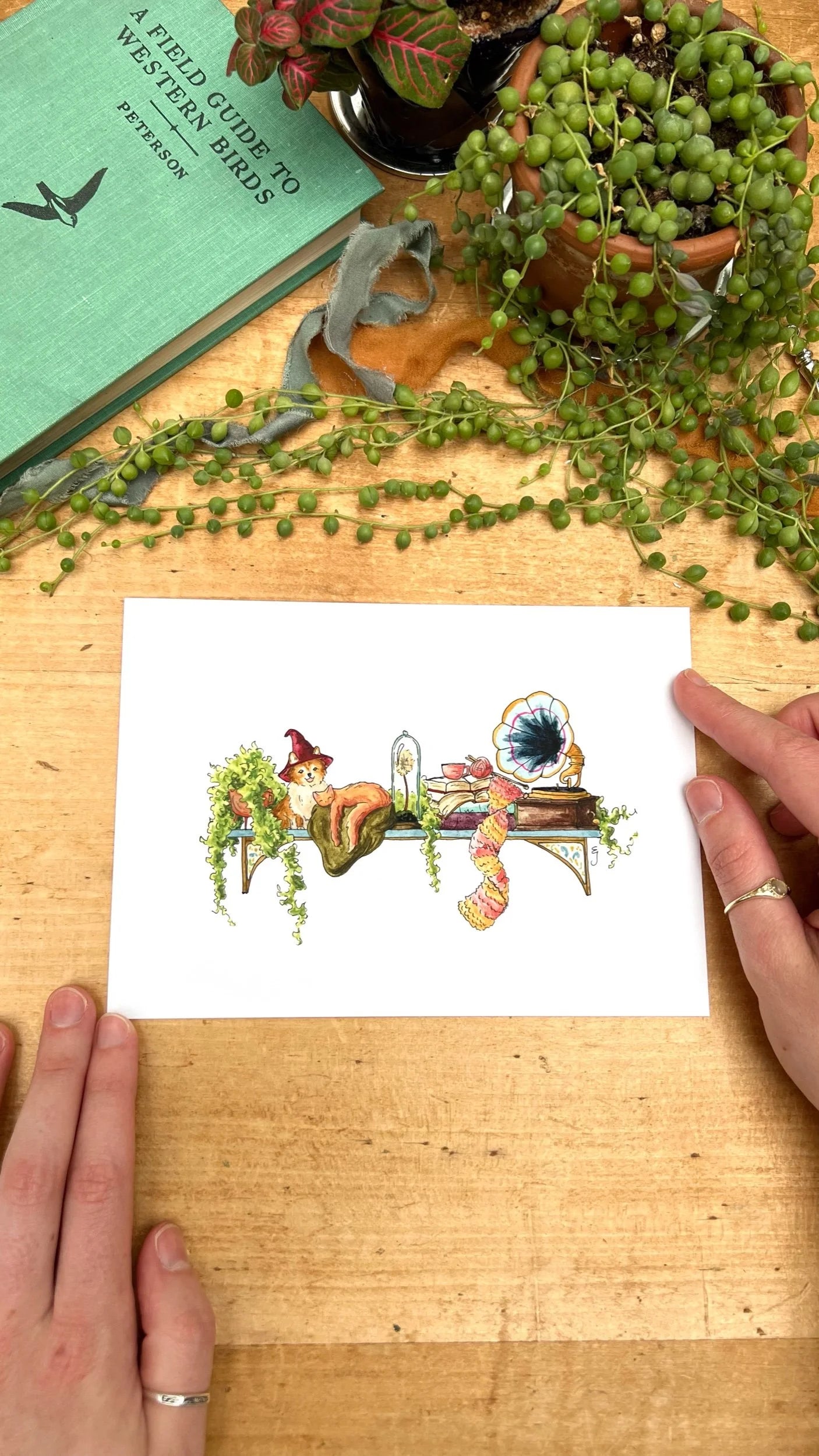 The Mini Hedge Witch's Shelf Giclée Print