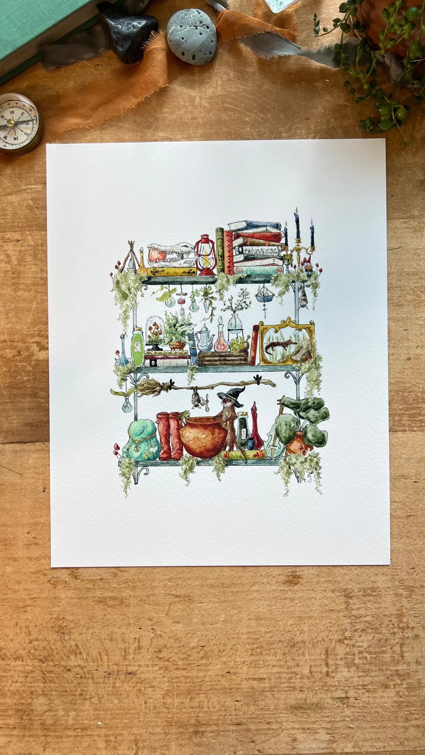 Witches Shelves Giclée Print Bundle, Vol. 1
