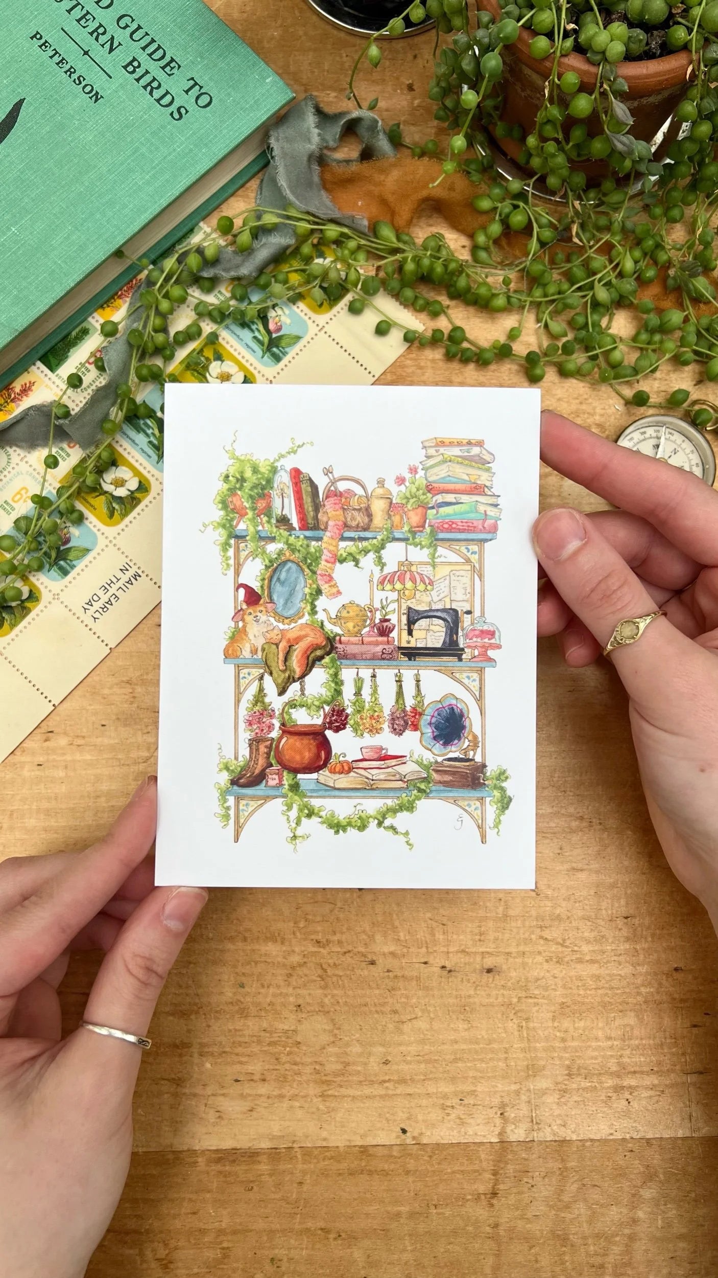 Witches Postcards Vol. 2