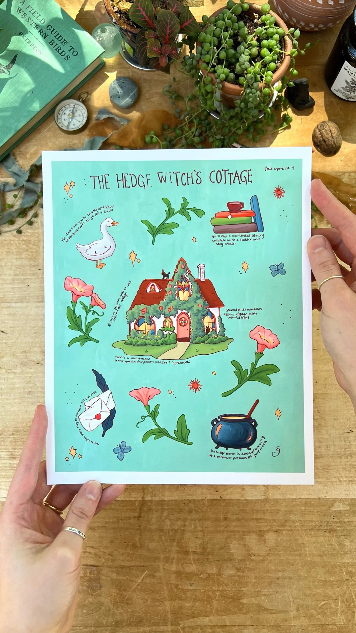 Witches' Cottages Print Bundle