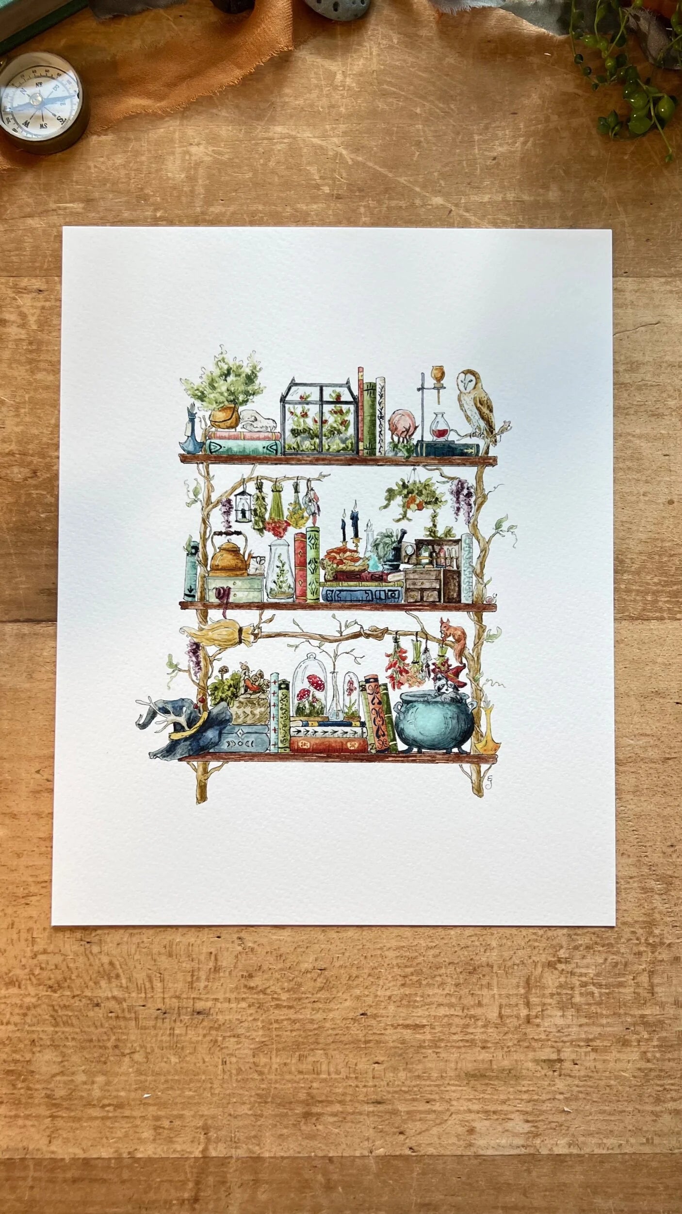 Witches Shelves Giclée Print Bundle, Vol. 1