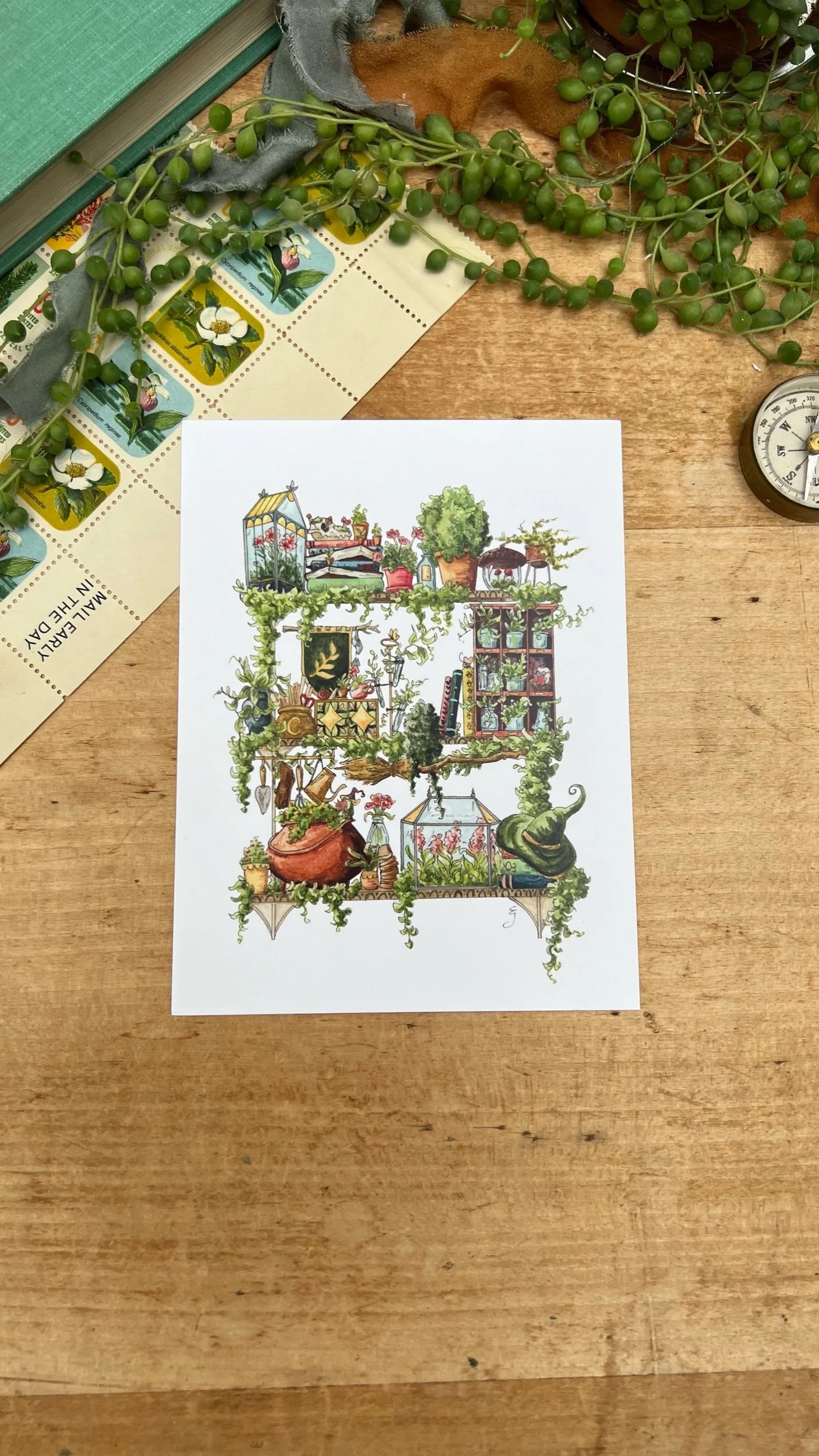 The Garden Witch's Shelves Postcard