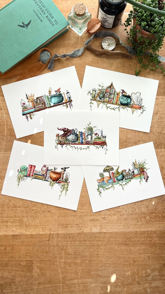 Mini Witches Shelves Giclée Print Bundle, Vol. 1