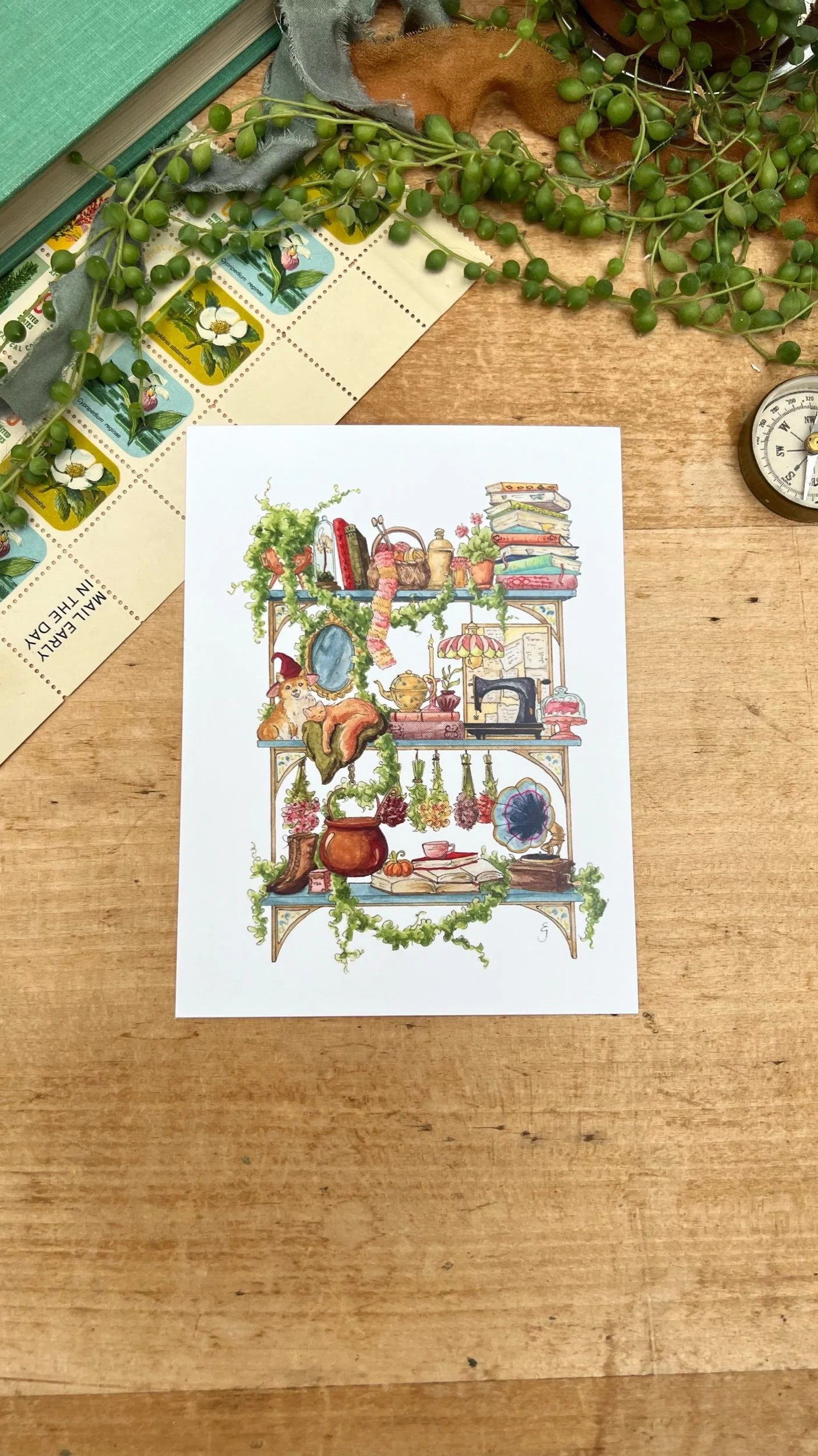 The Hedge Witch's Shelves Postcard