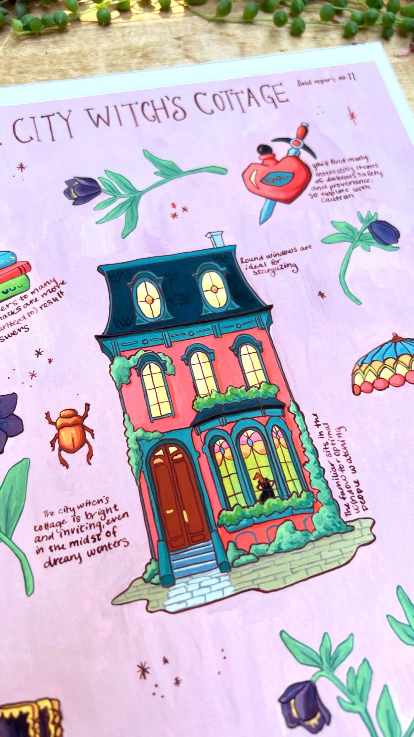 The City Witch's Cottage Field Report Giclée Print