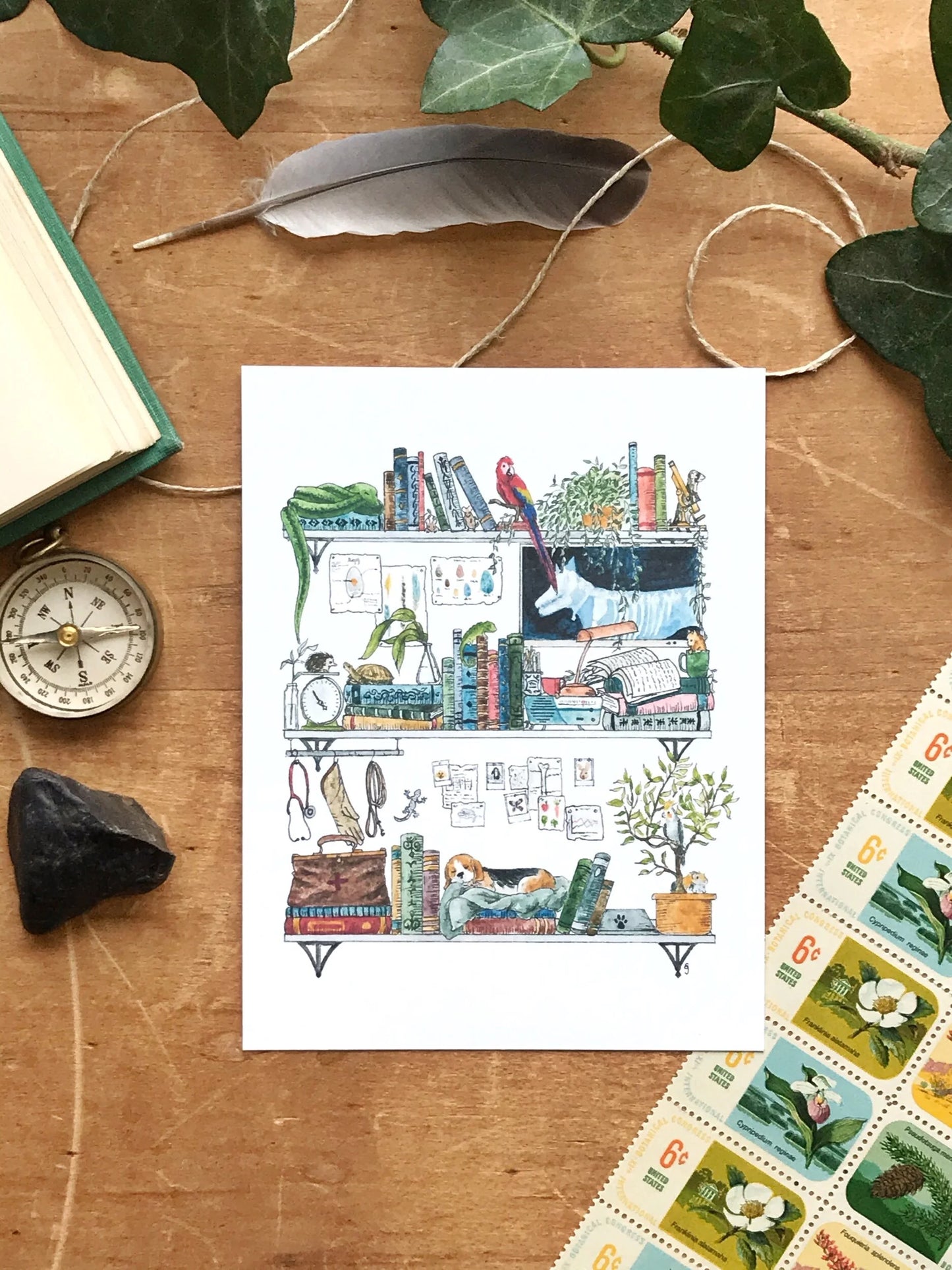 Vol. 2 Natural History Postcard Set