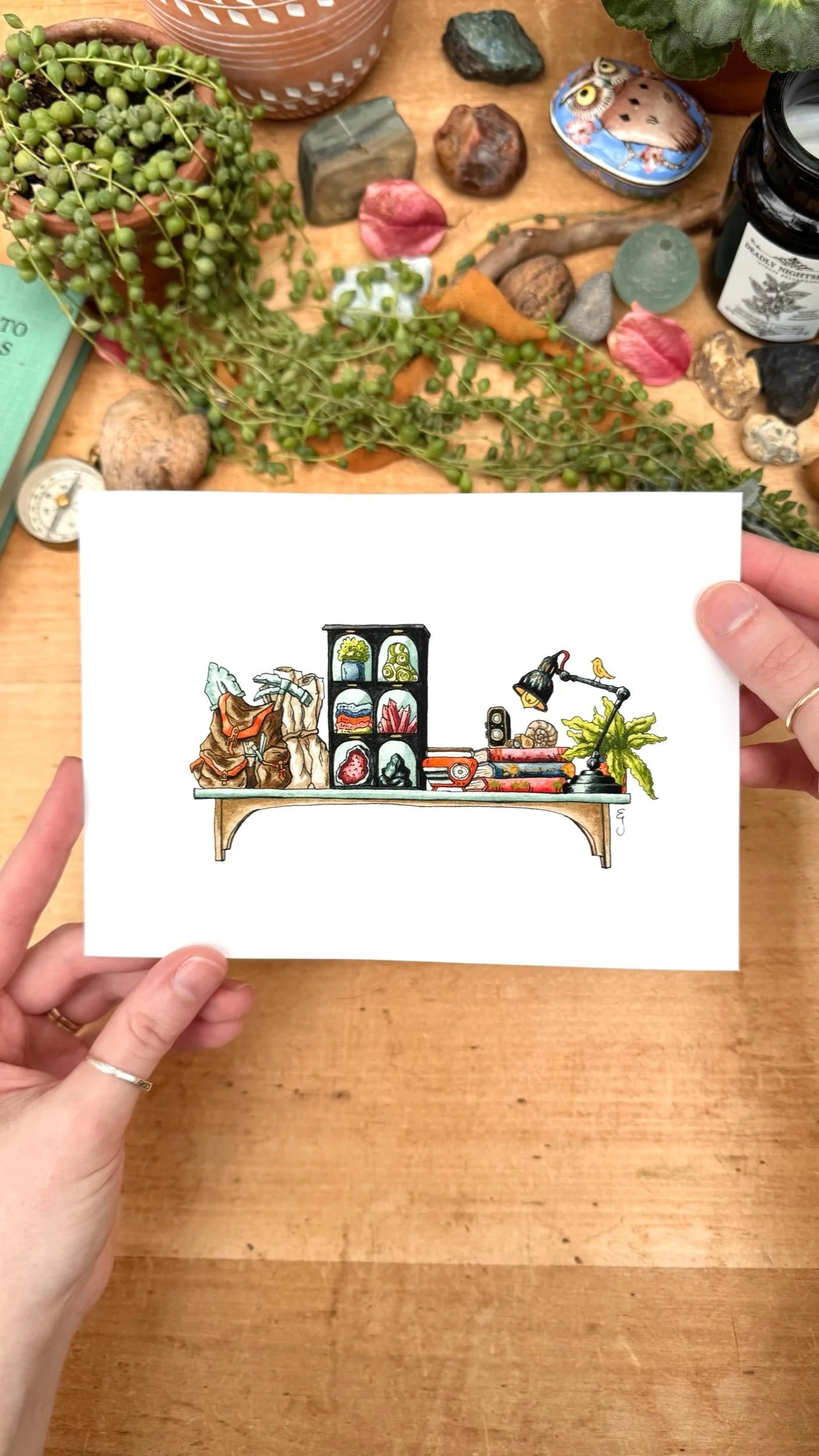 The Mini Geologist's Shelf Giclée Print