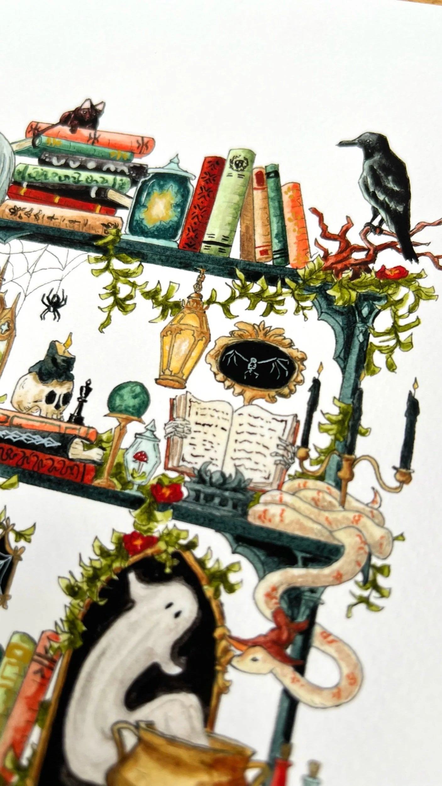 The Gothic Witch's Shelves Giclée Print
