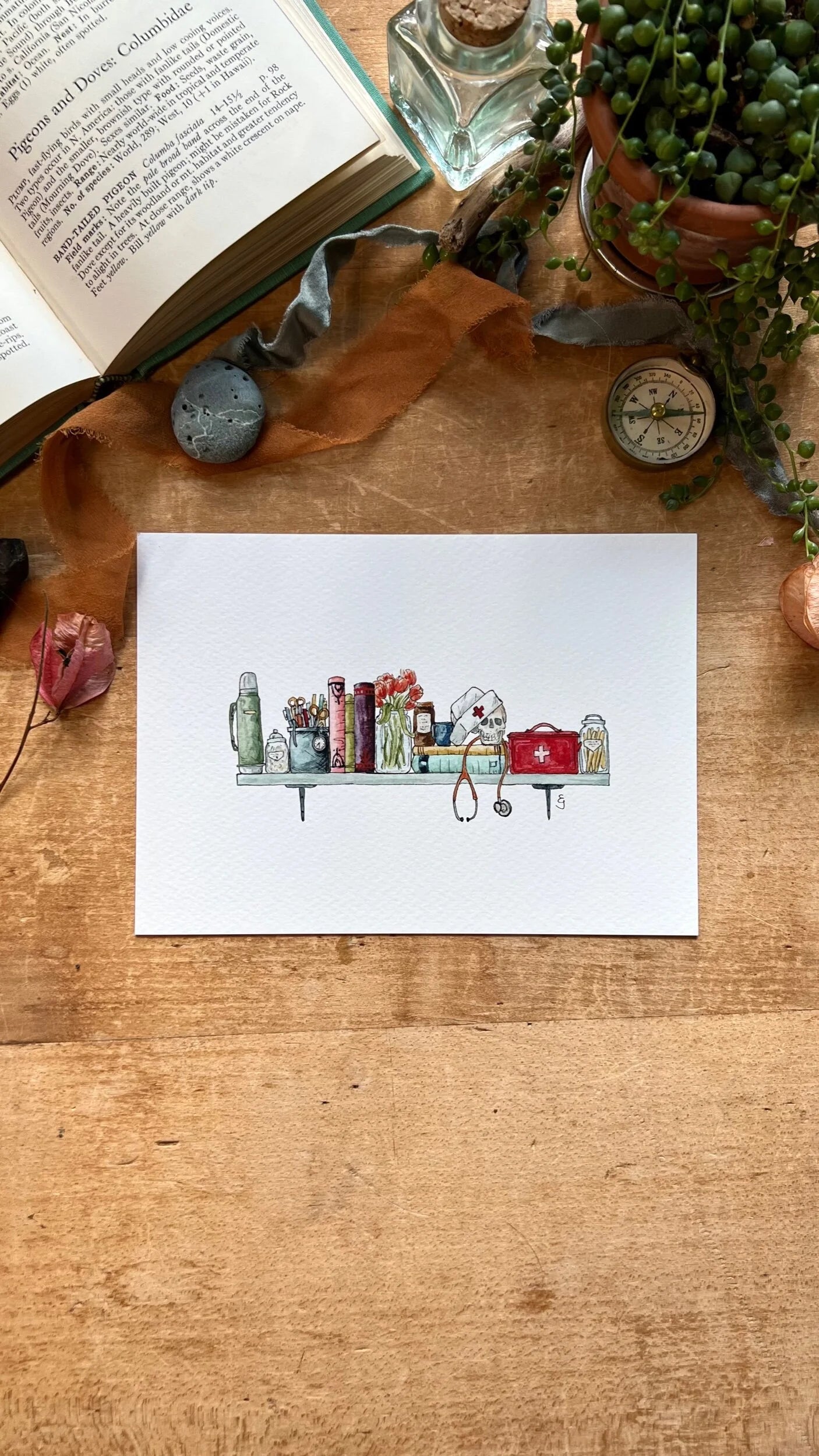 The Mini Nurse's Shelf Giclée Print