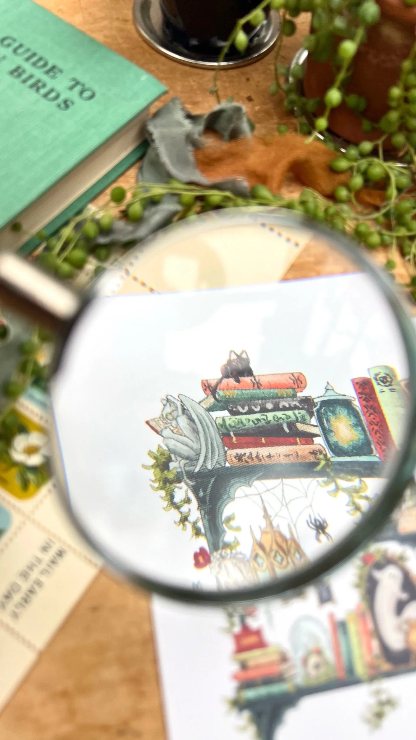The Gothic Witch's Shelves Postcard
