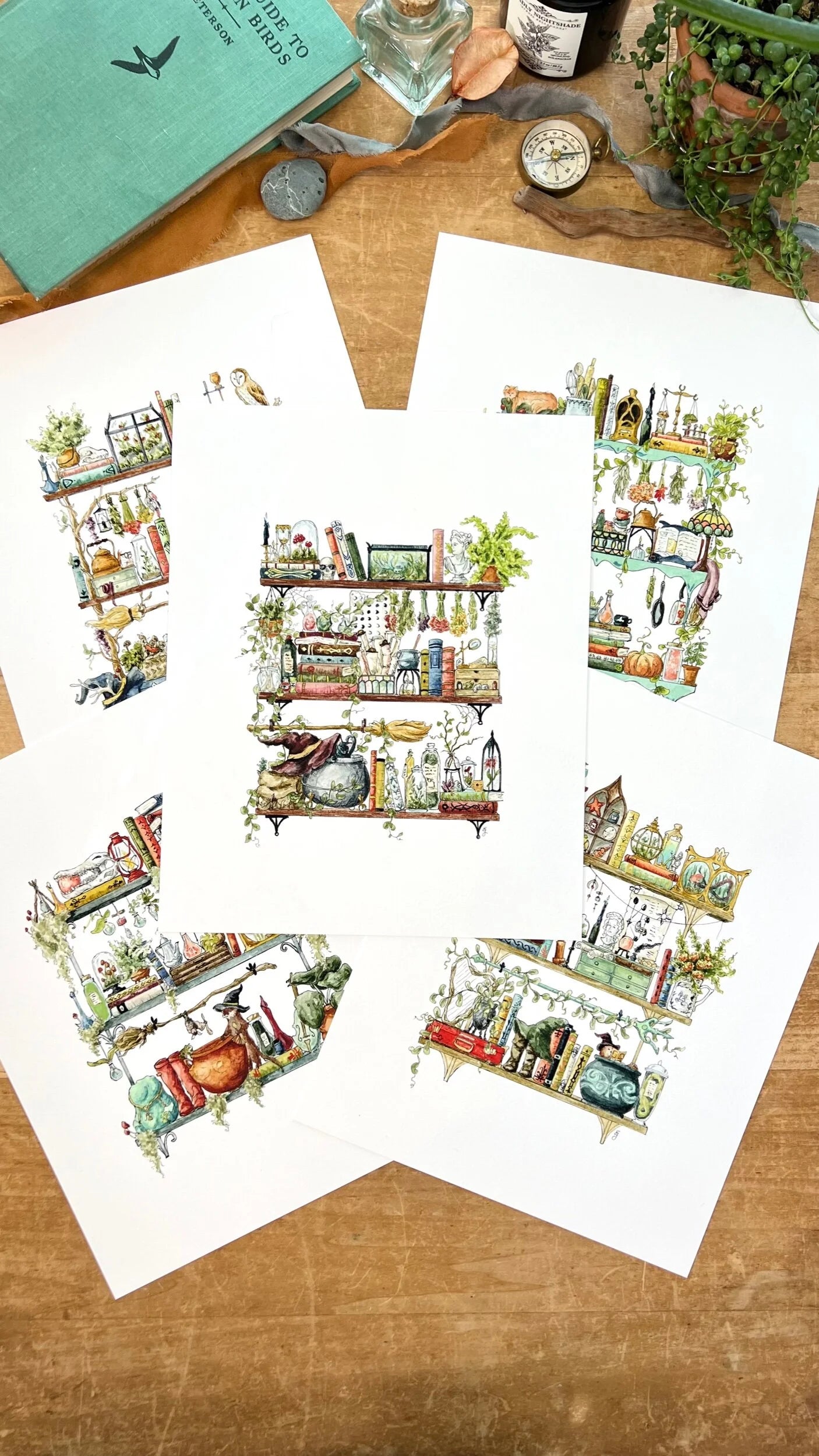 Witches Shelves Giclée Print Bundle, Vol. 1