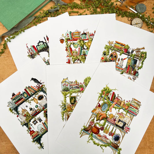 Witches Shelves Giclée Print Bundle, Vol. 2
