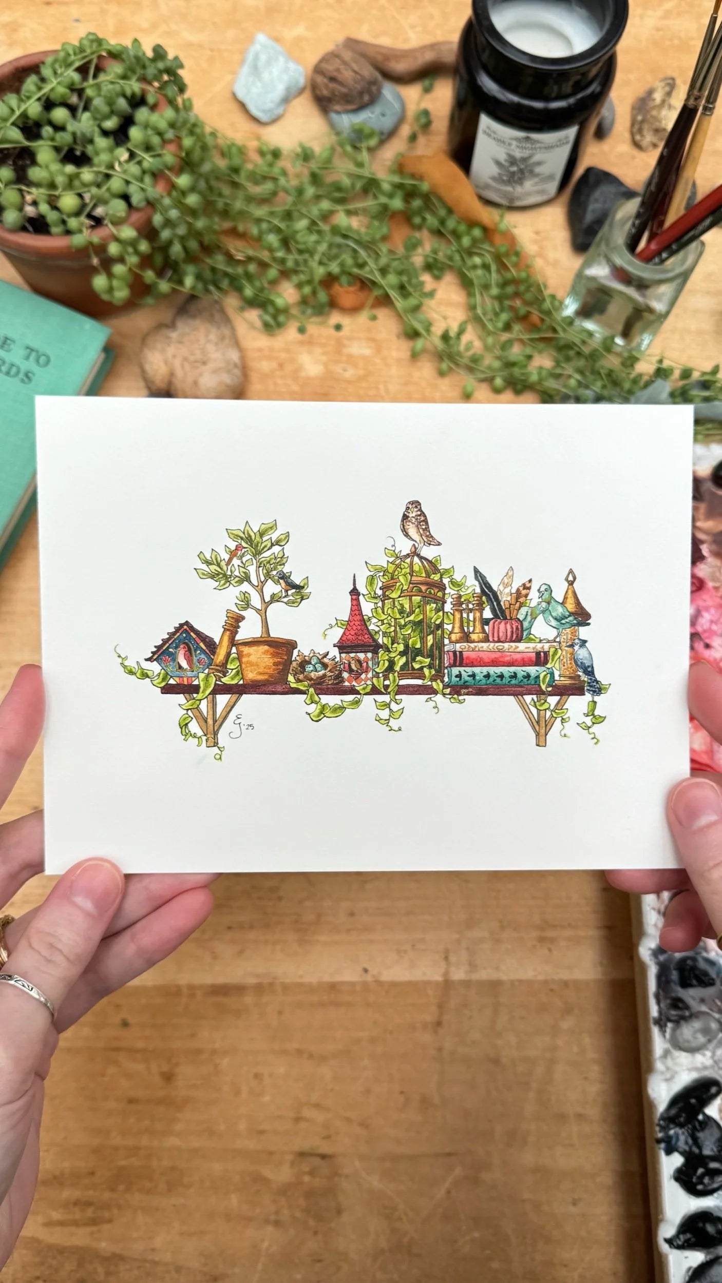 Original Mini Ornithologist's Shelf Illustration