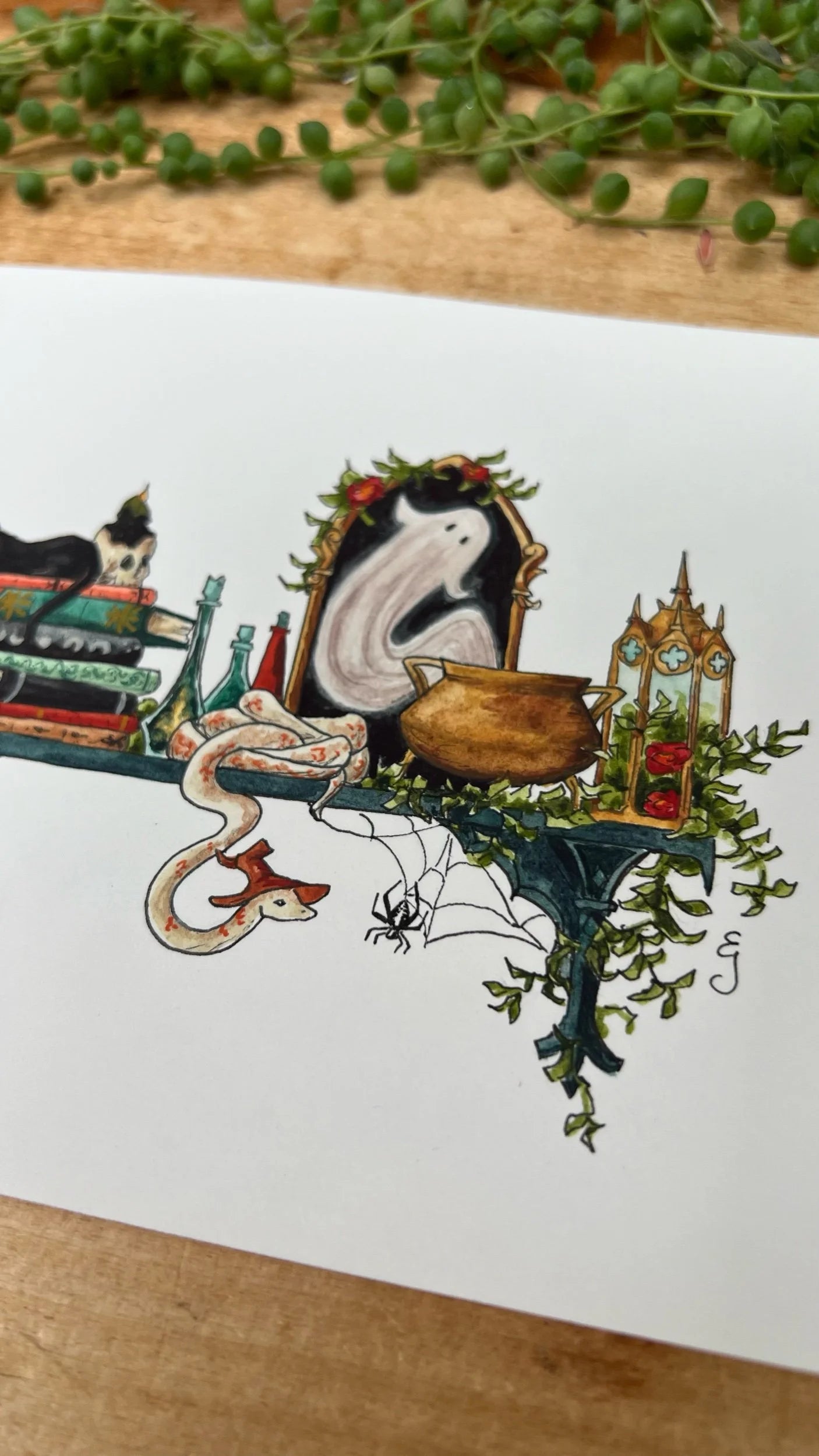 Original Mini Gothic Witch's Shelf Illustration