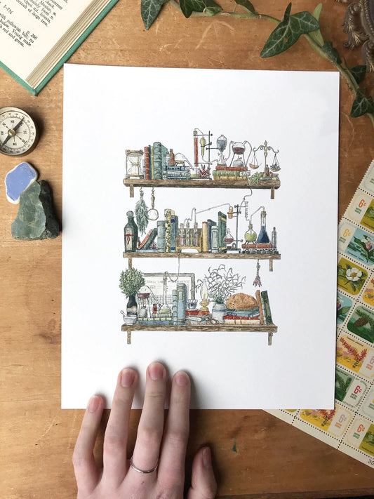 The Chemist's Shelves Giclée Print