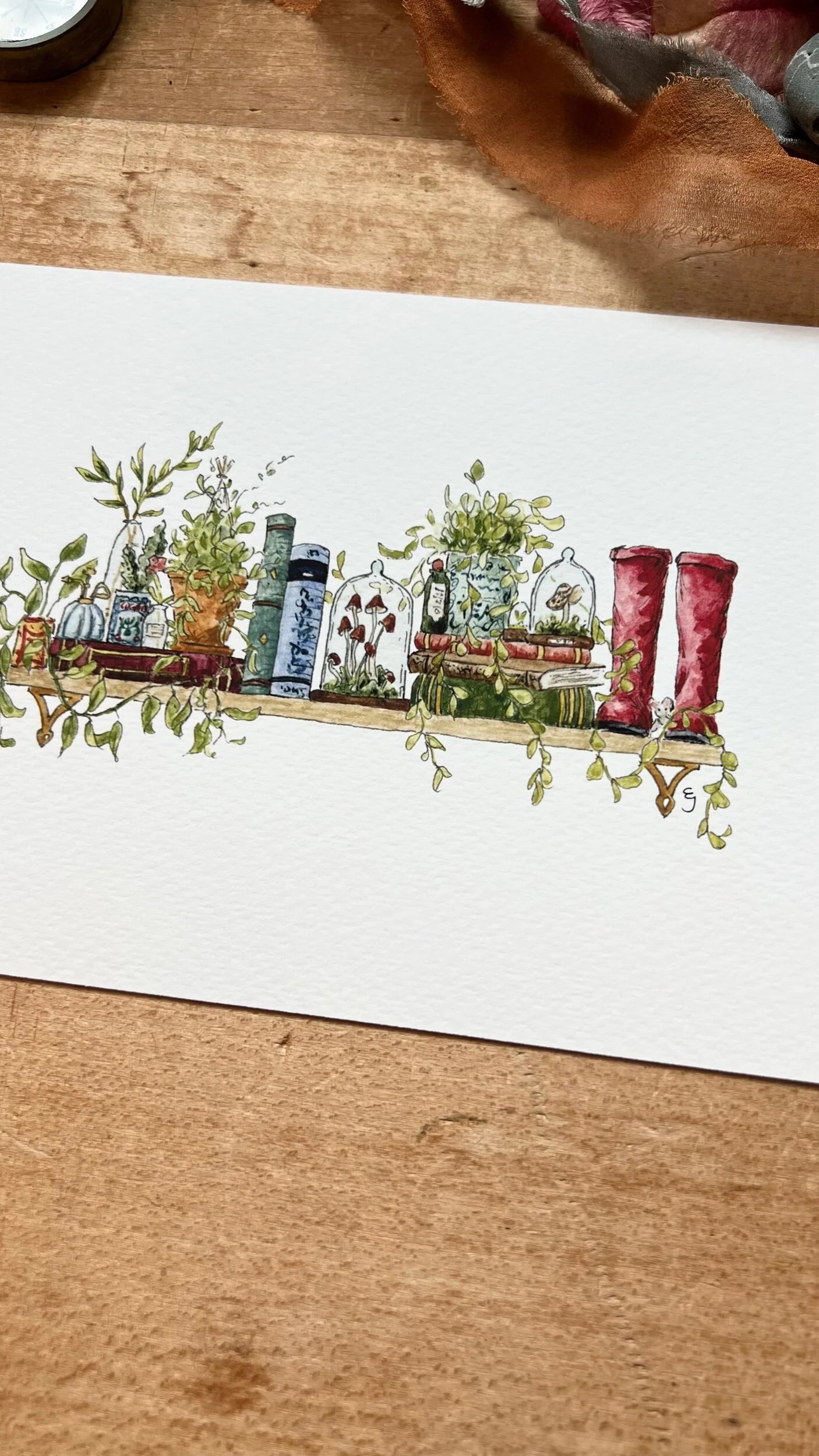 The Mini Biologist's Shelf Giclée Print